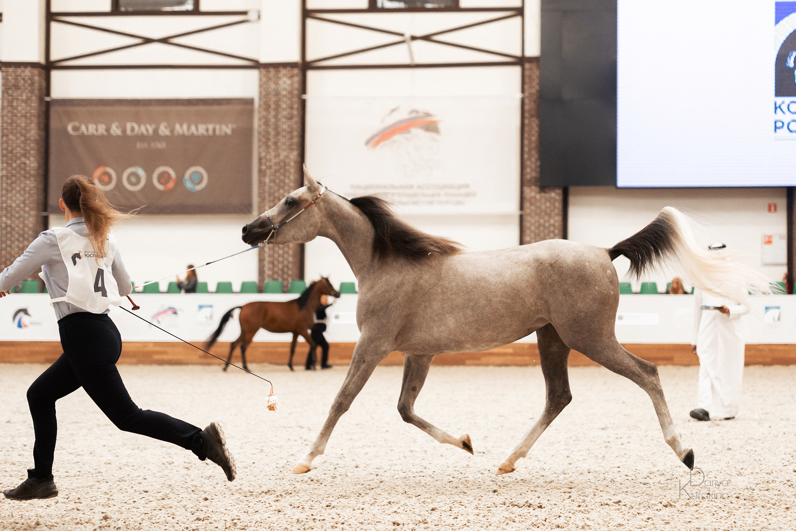 Конная Россия 2021. Конный фотограф Куракина Дарья • Фотосессии с лошадьми
