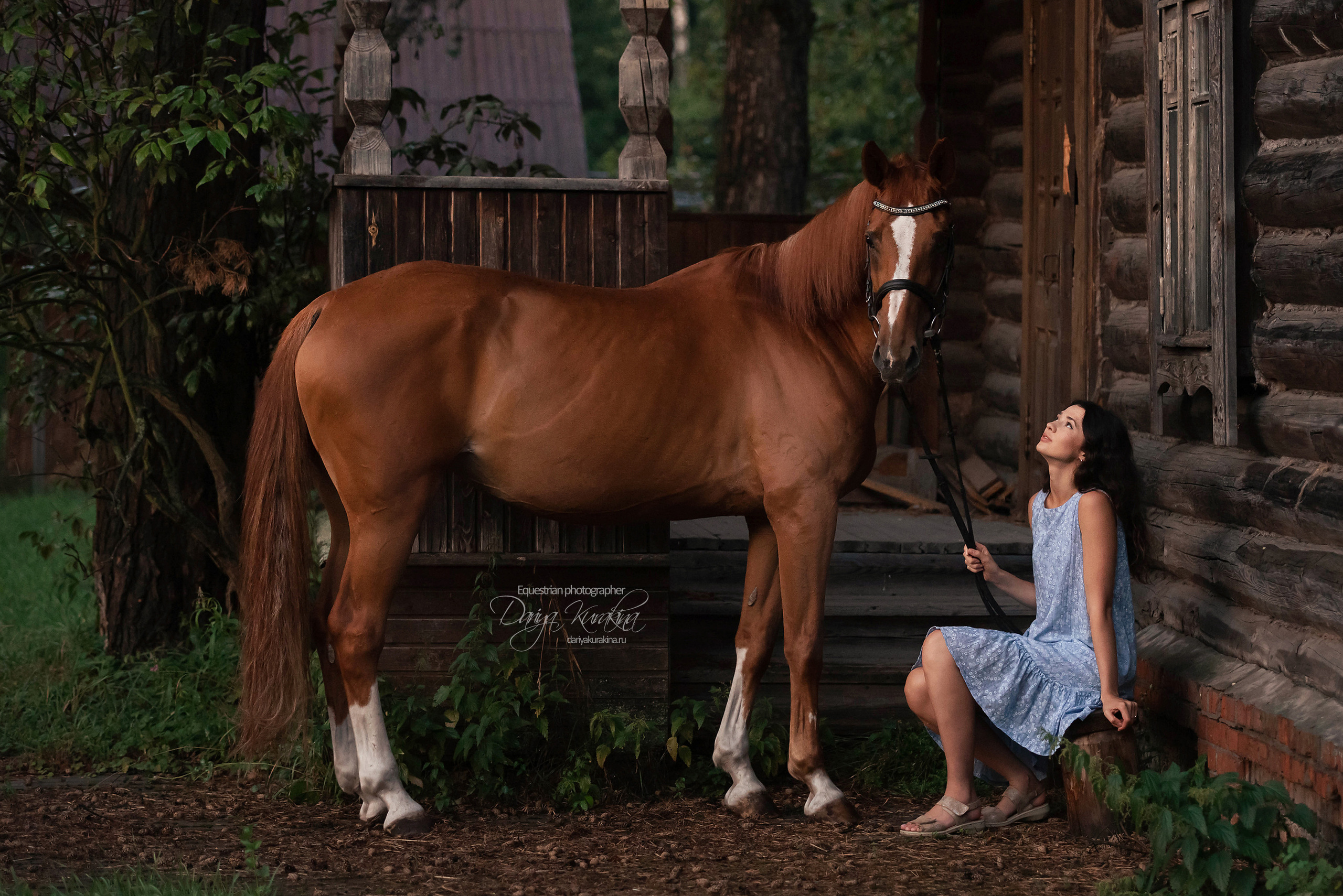 Яна и Леди. Конный фотограф Куракина Дарья • Фотосессии с лошадьми