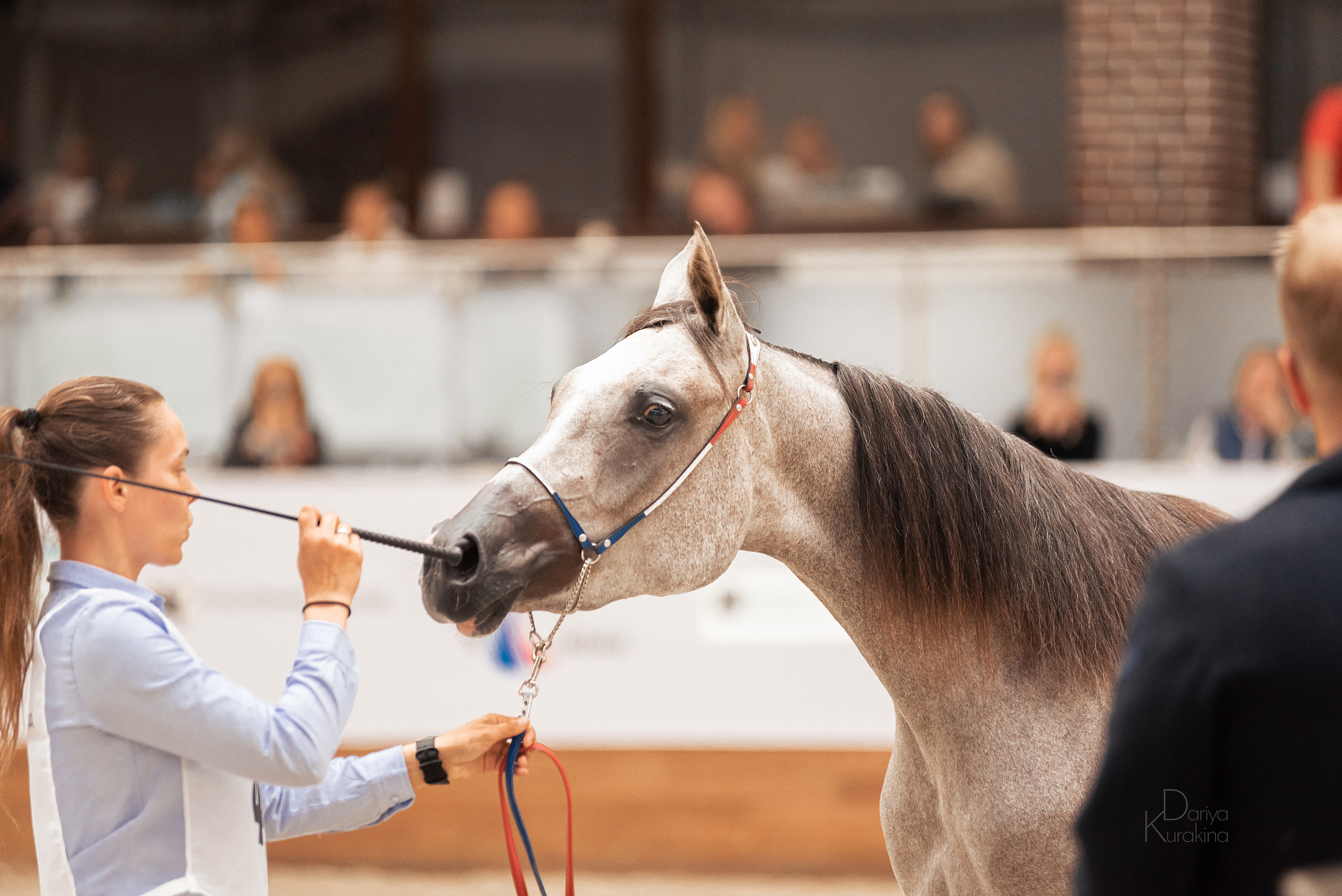 Конная Россия 2021. Конный фотограф Куракина Дарья • Фотосессии с лошадьми