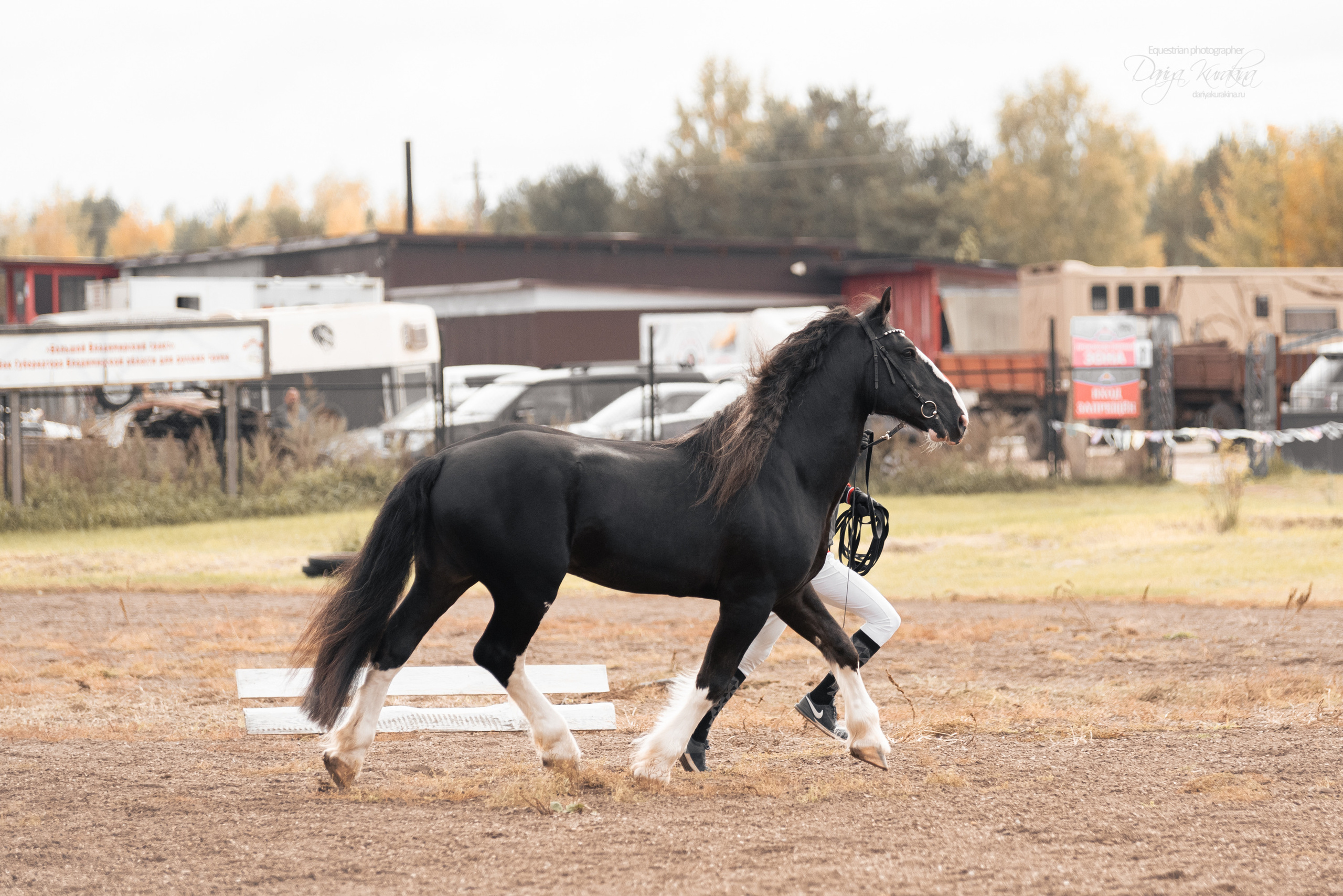 Богдарня. Конный фотограф Куракина Дарья • Фотосессии с лошадьми