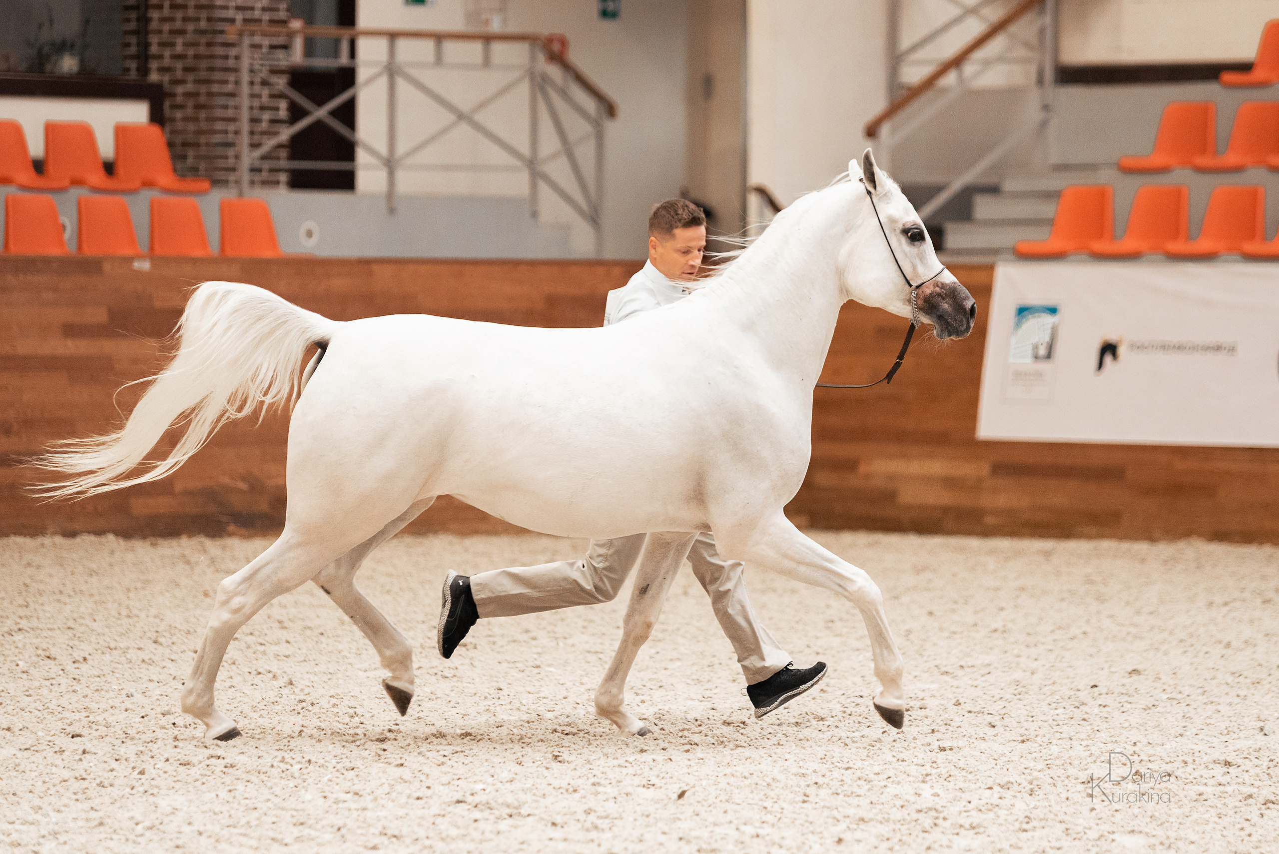 Конная Россия 2021. Конный фотограф Куракина Дарья • Фотосессии с лошадьми
