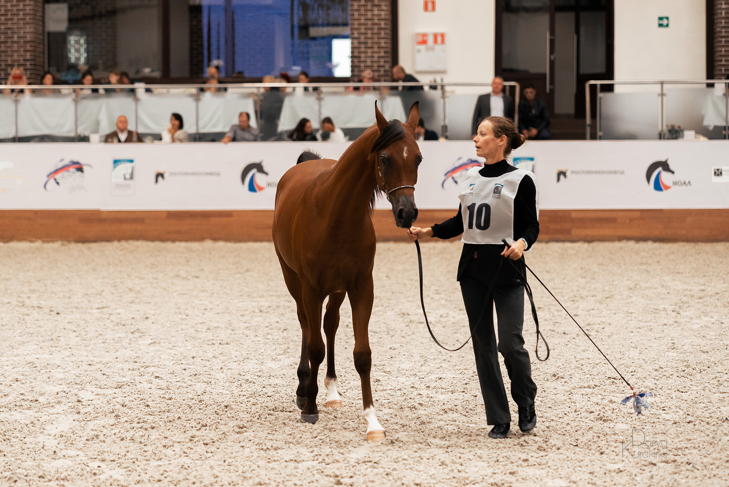 Конная Россия 2021. Конный фотограф Куракина Дарья • Фотосессии с лошадьми