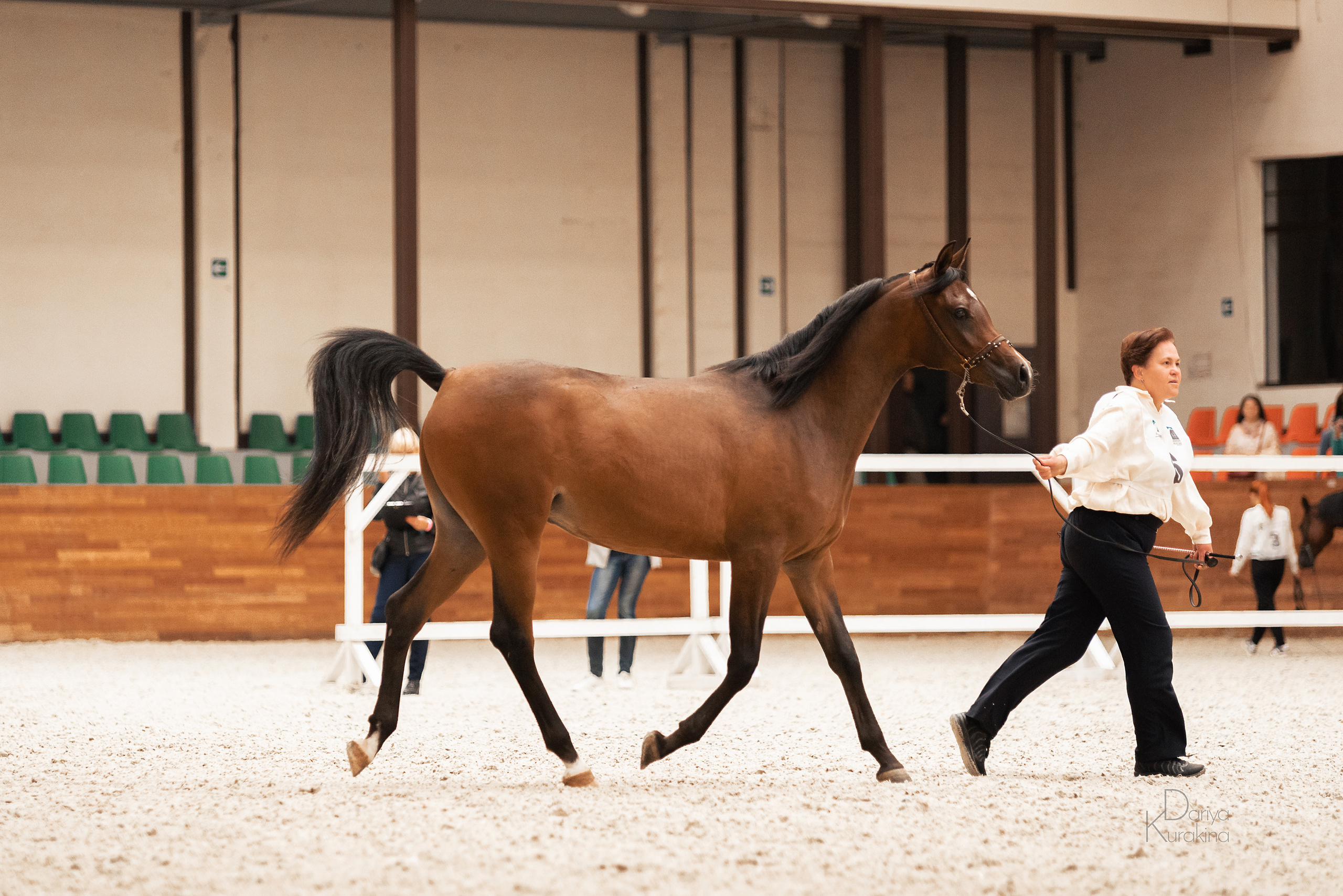 Конная Россия 2021. Конный фотограф Куракина Дарья • Фотосессии с лошадьми
