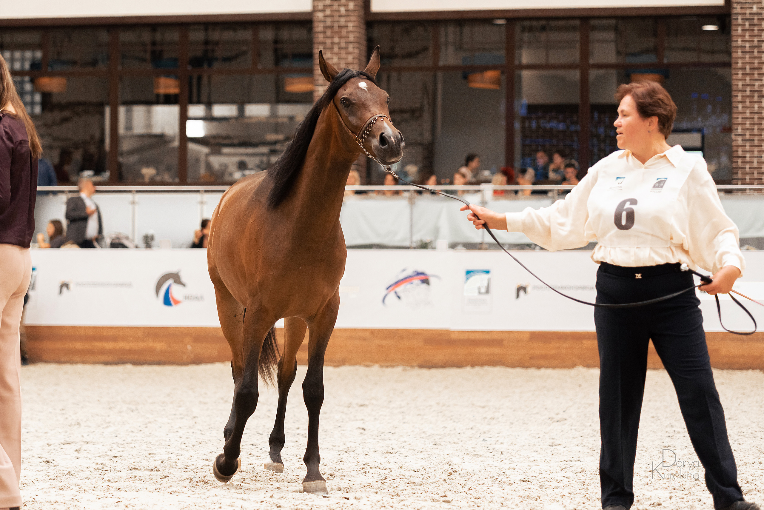 Конная Россия 2021. Конный фотограф Куракина Дарья • Фотосессии с лошадьми