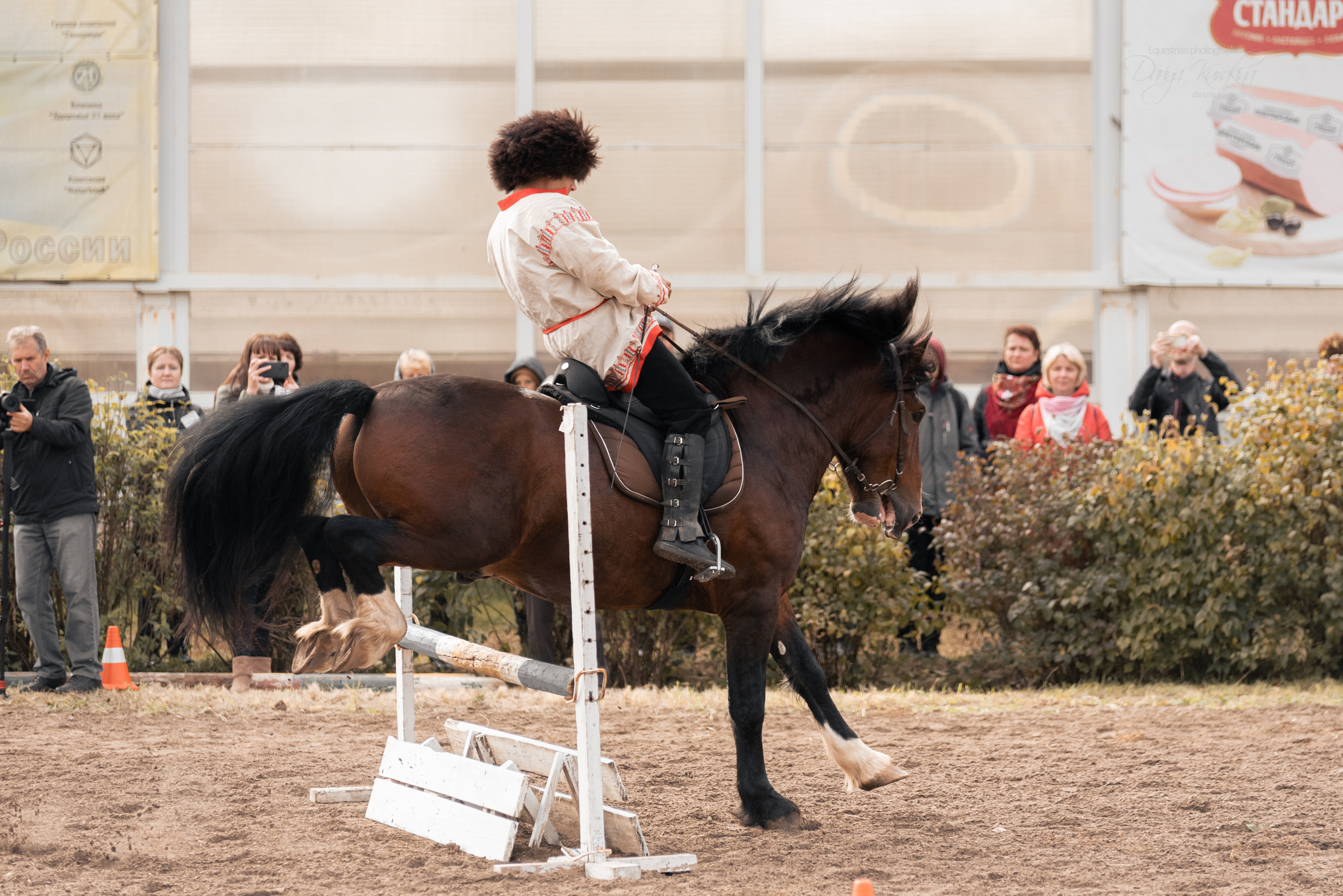 Богдарня. Конный фотограф Куракина Дарья • Фотосессии с лошадьми
