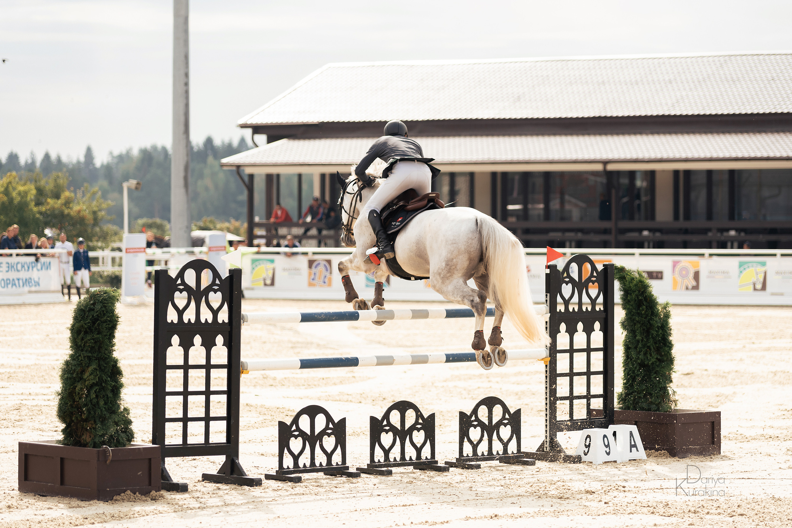 Конная Россия 2021. Конный фотограф Куракина Дарья • Фотосессии с лошадьми