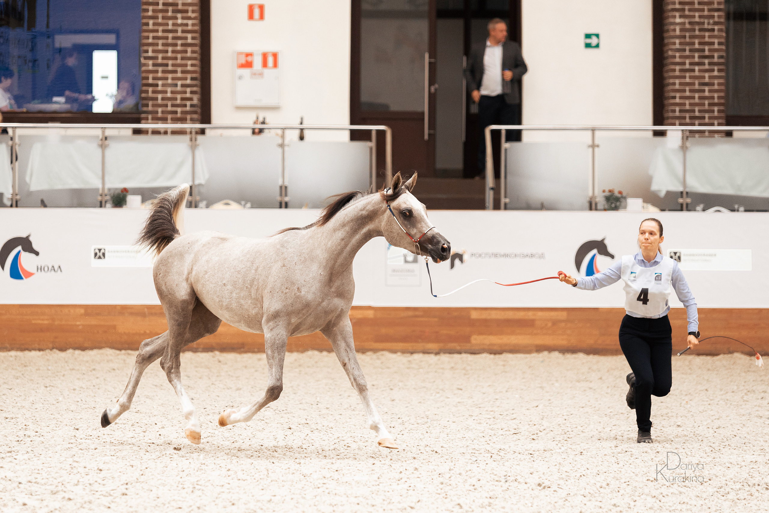 Конная Россия 2021. Конный фотограф Куракина Дарья • Фотосессии с лошадьми