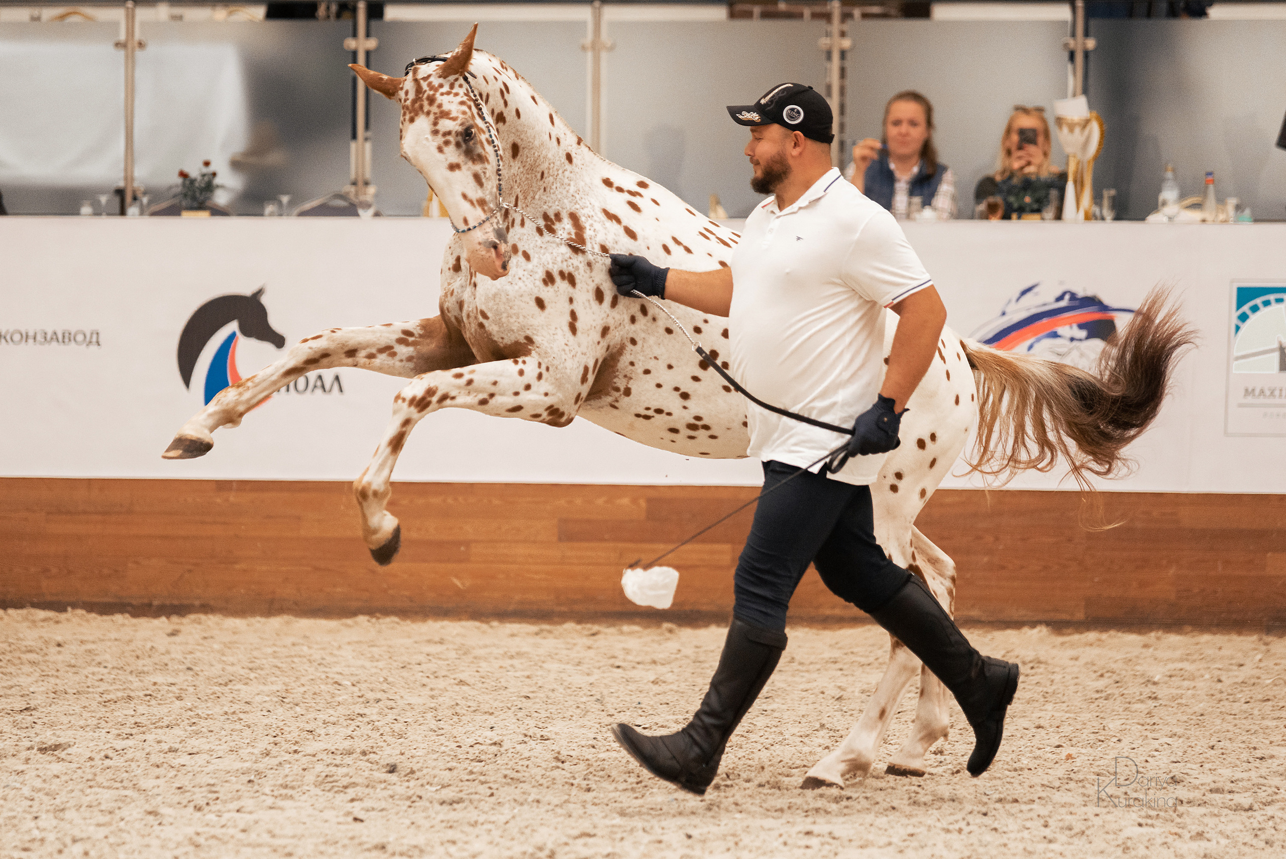 Конная Россия 2021. Конный фотограф Куракина Дарья • Фотосессии с лошадьми