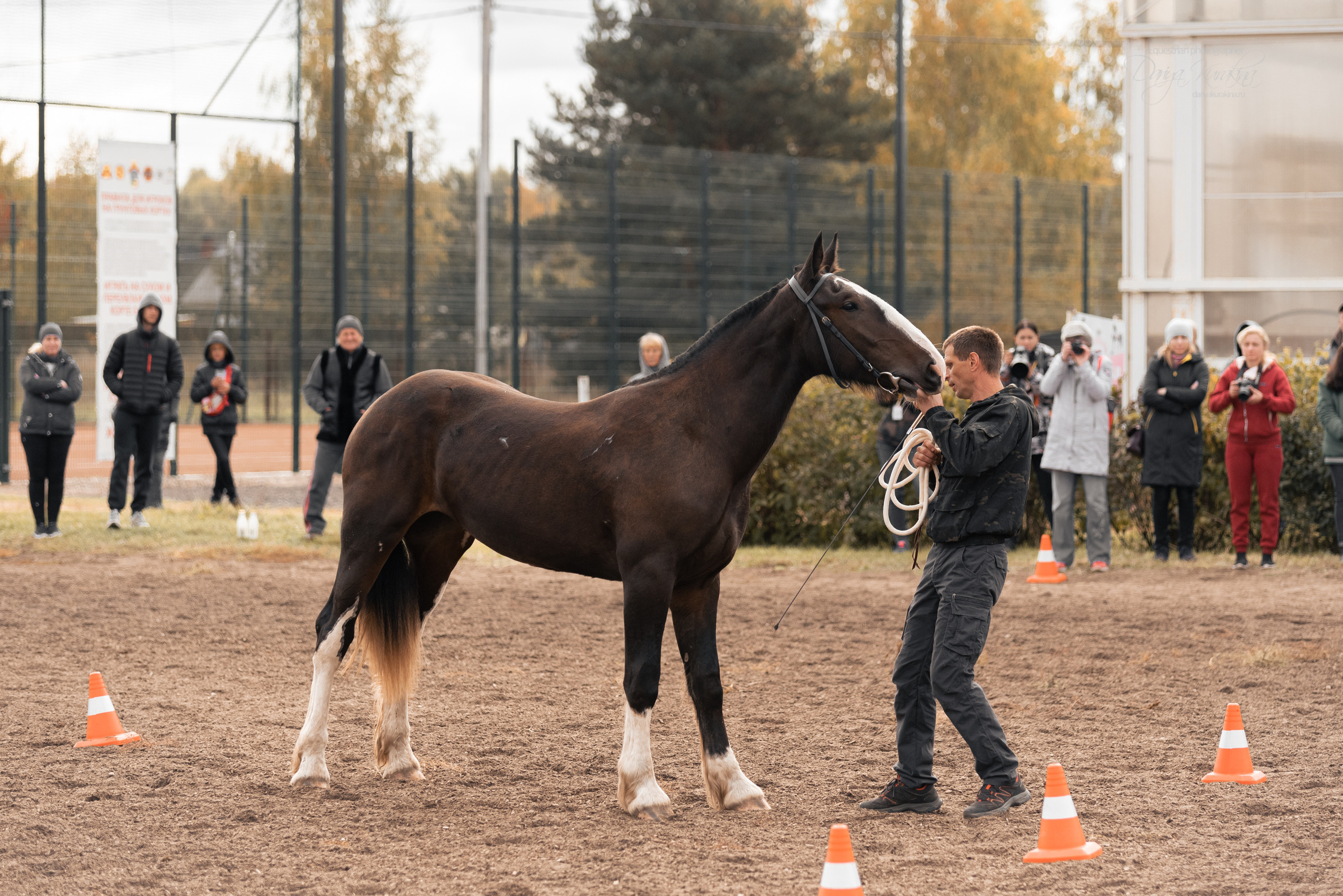 Богдарня. Конный фотограф Куракина Дарья • Фотосессии с лошадьми