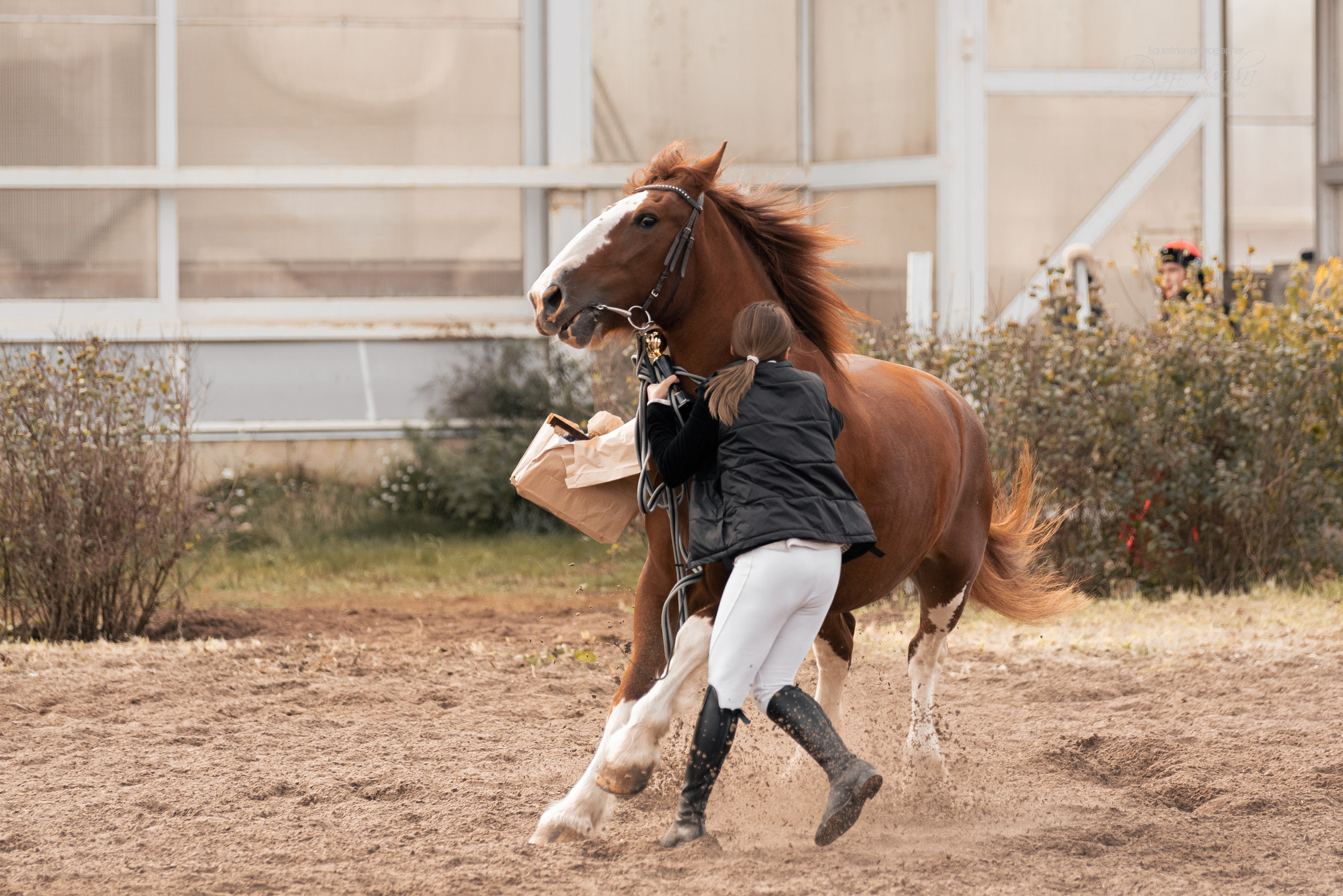 Богдарня. Конный фотограф Куракина Дарья • Фотосессии с лошадьми