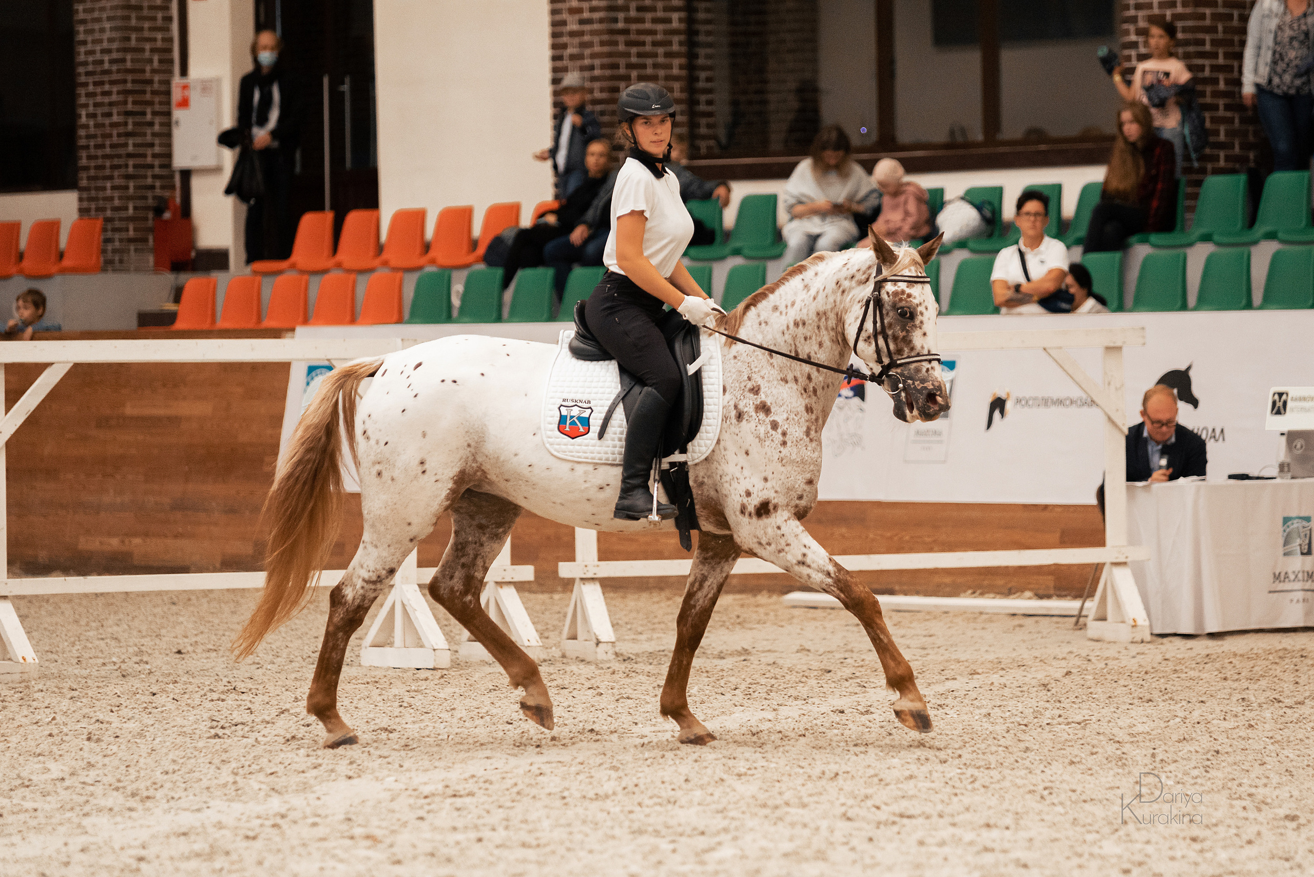 Конная Россия 2021. Конный фотограф Куракина Дарья • Фотосессии с лошадьми