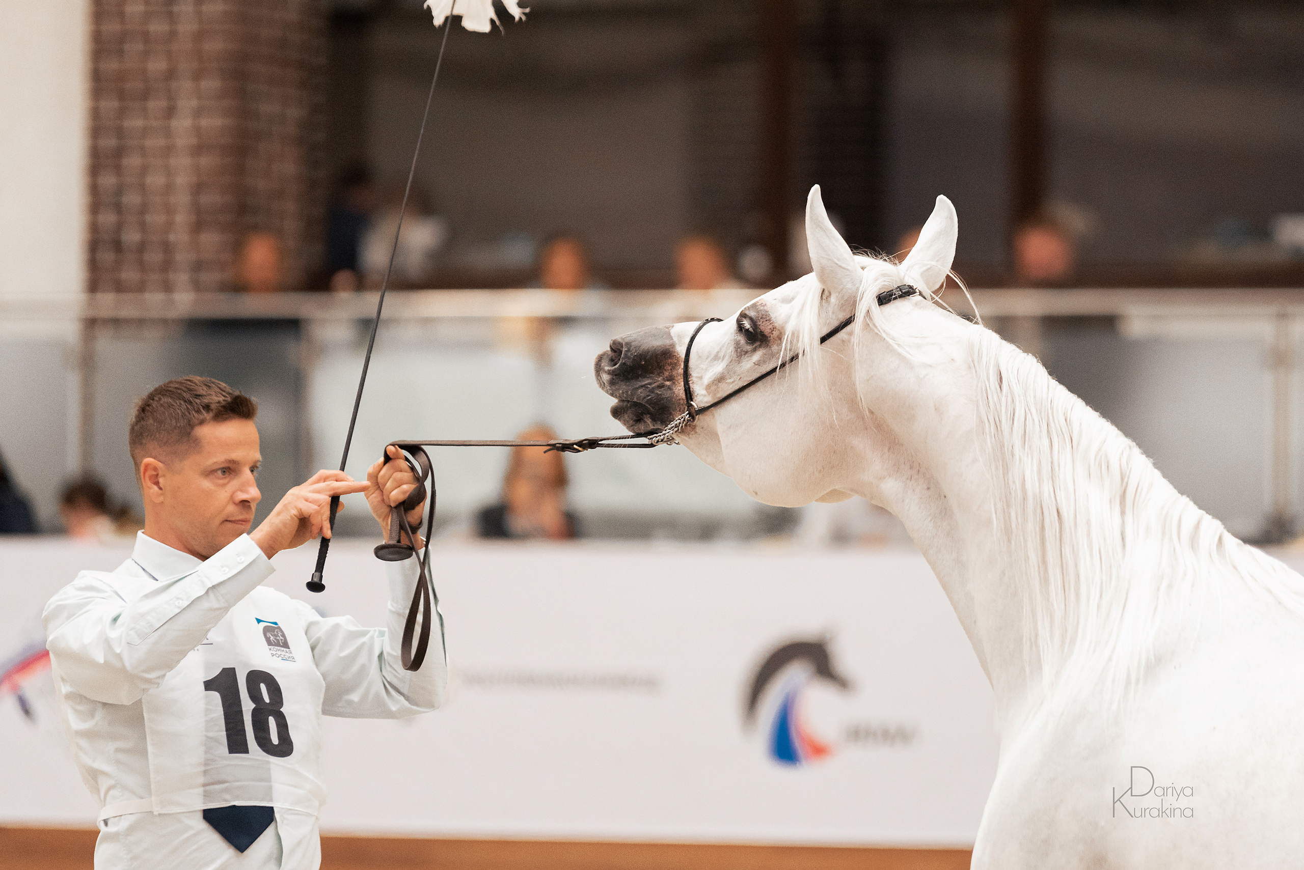 Конная Россия 2021. Конный фотограф Куракина Дарья • Фотосессии с лошадьми