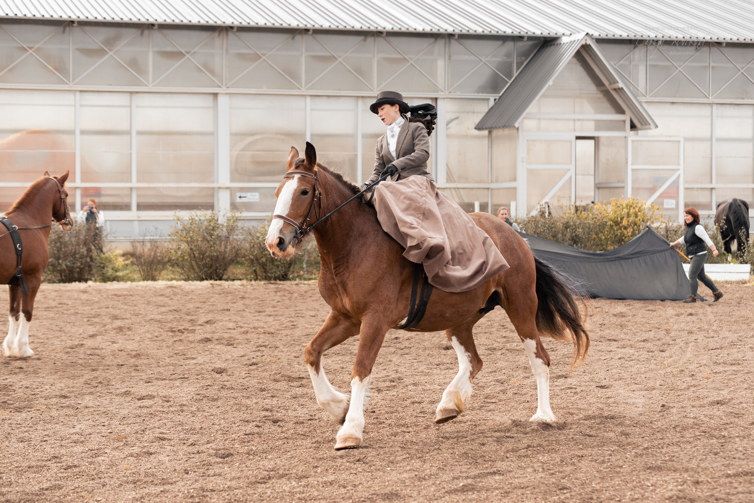 Богдарня. Конный фотограф Куракина Дарья • Фотосессии с лошадьми