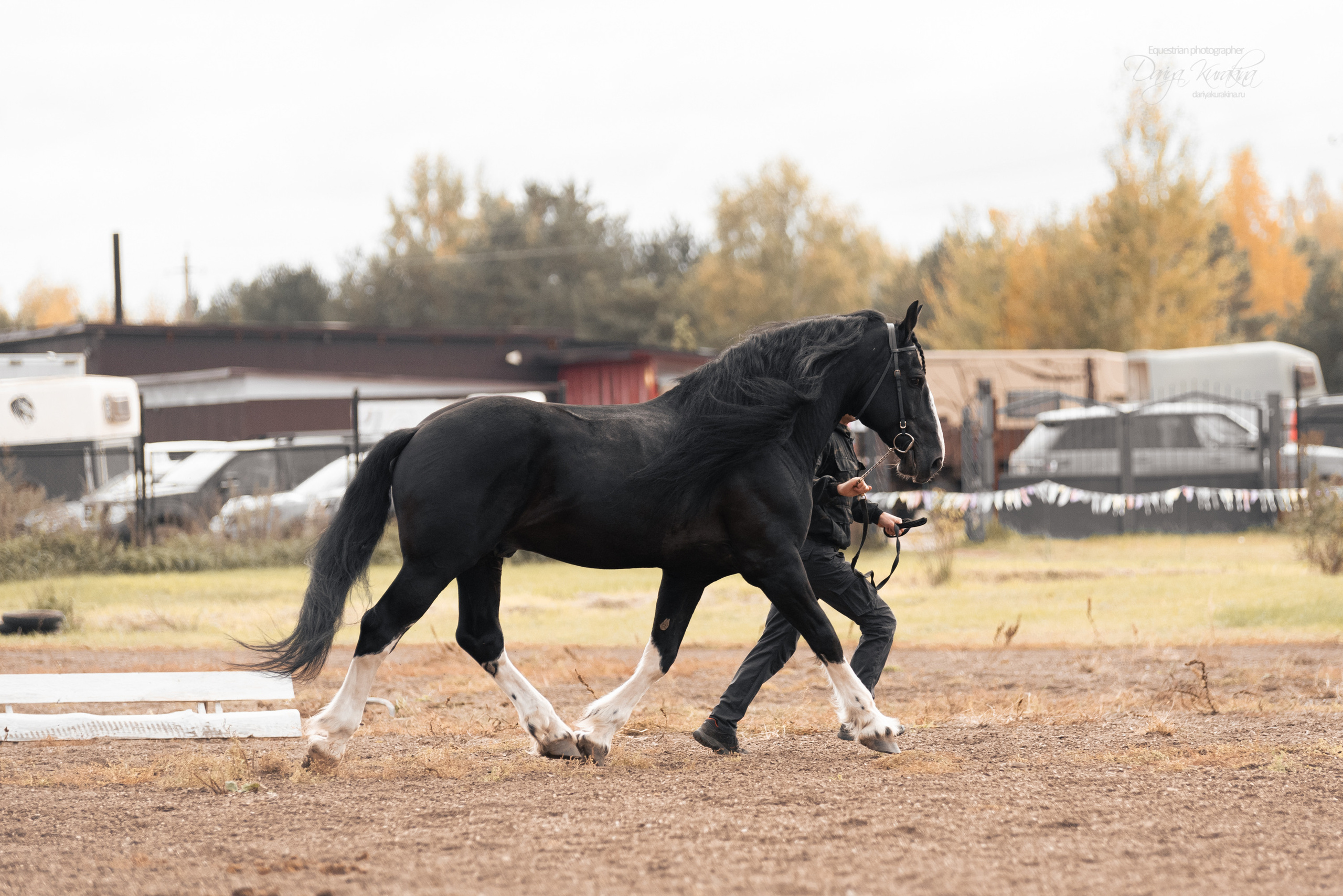 Богдарня. Конный фотограф Куракина Дарья • Фотосессии с лошадьми