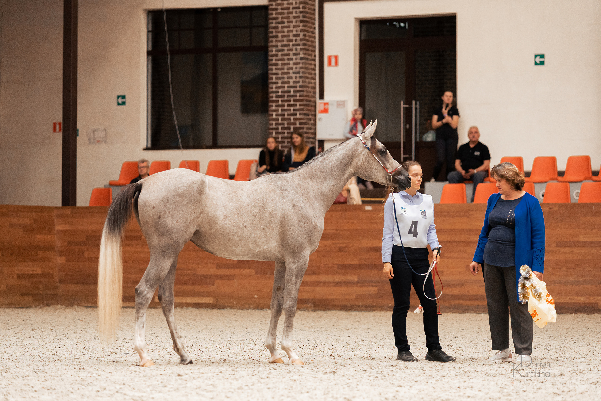 Конная Россия 2021. Конный фотограф Куракина Дарья • Фотосессии с лошадьми