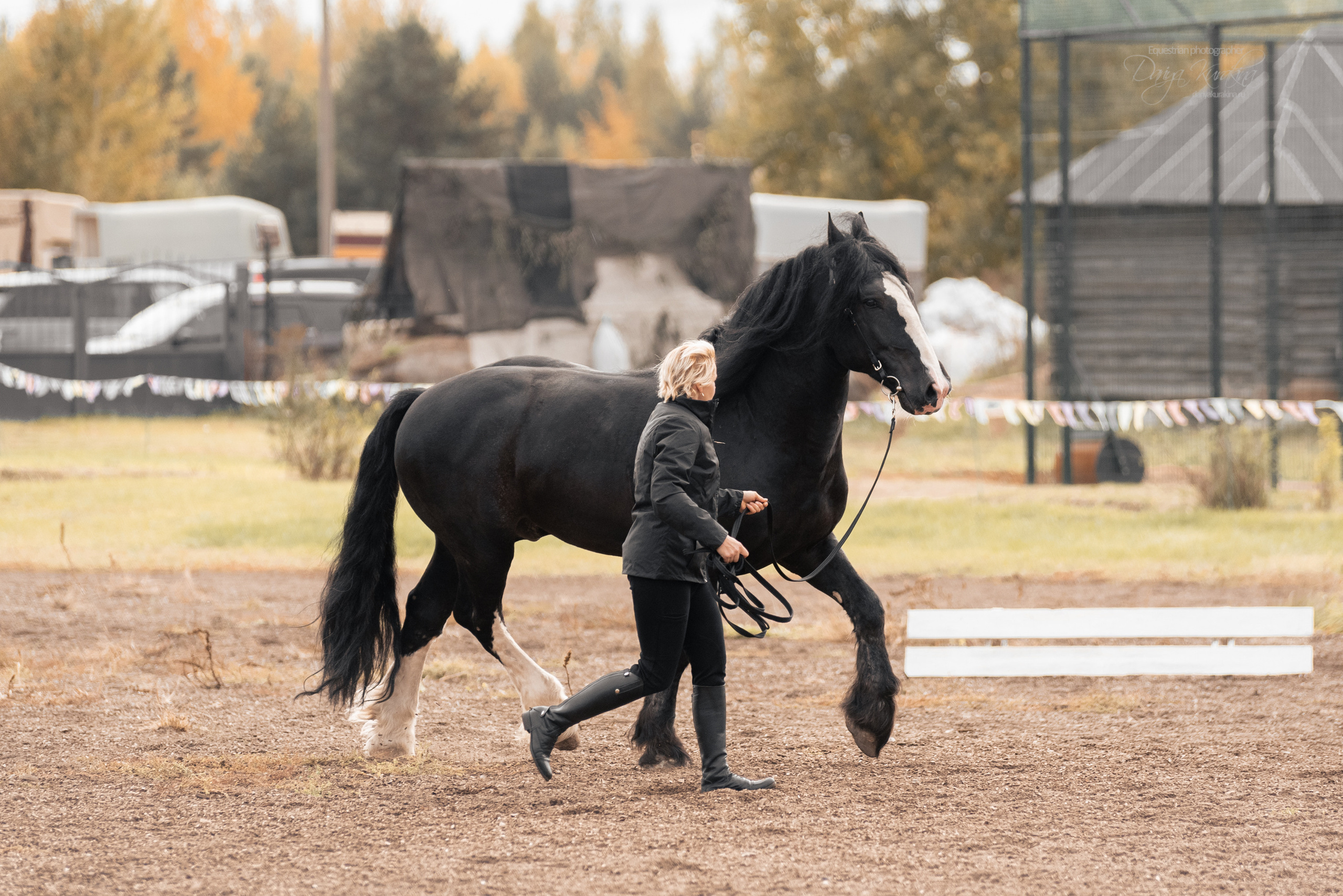 Богдарня. Конный фотограф Куракина Дарья • Фотосессии с лошадьми