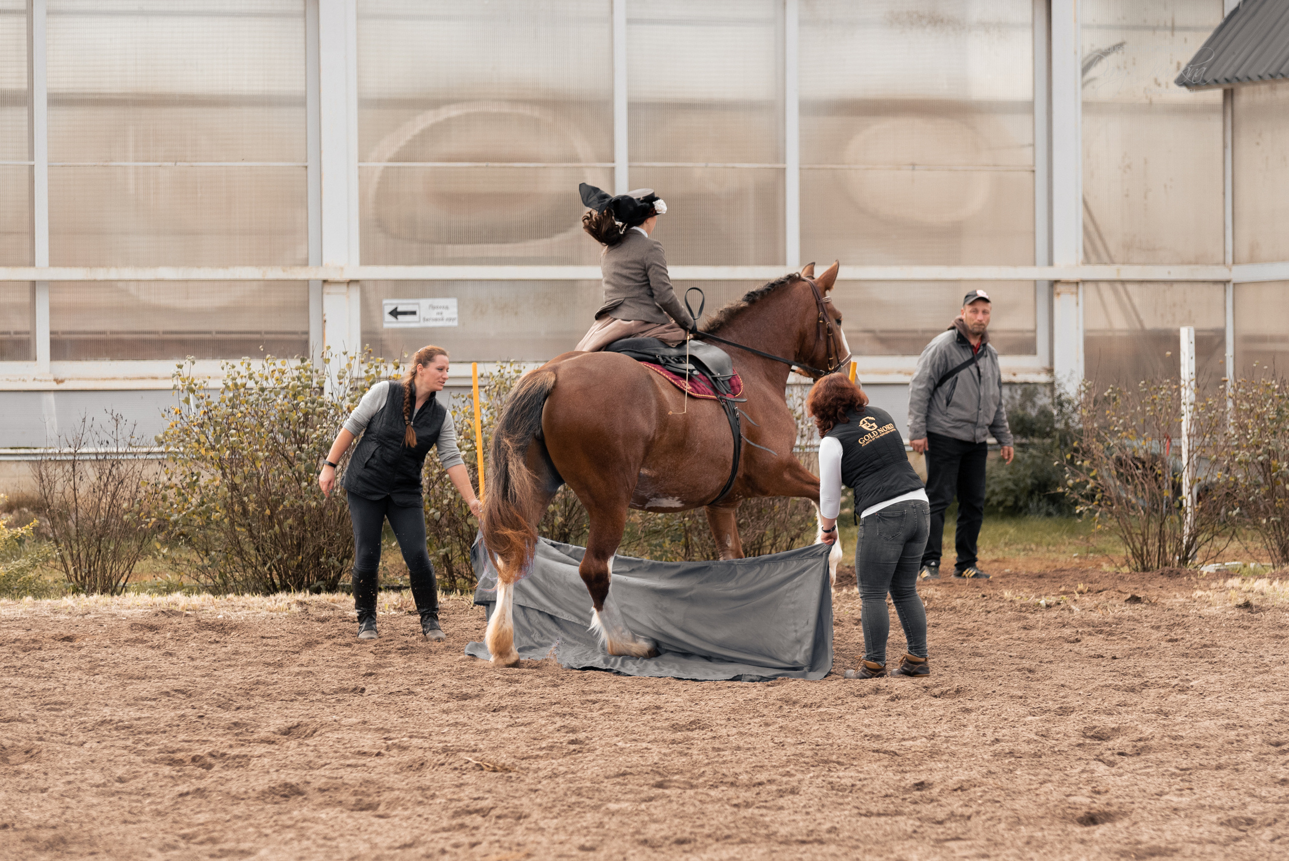Богдарня. Конный фотограф Куракина Дарья • Фотосессии с лошадьми