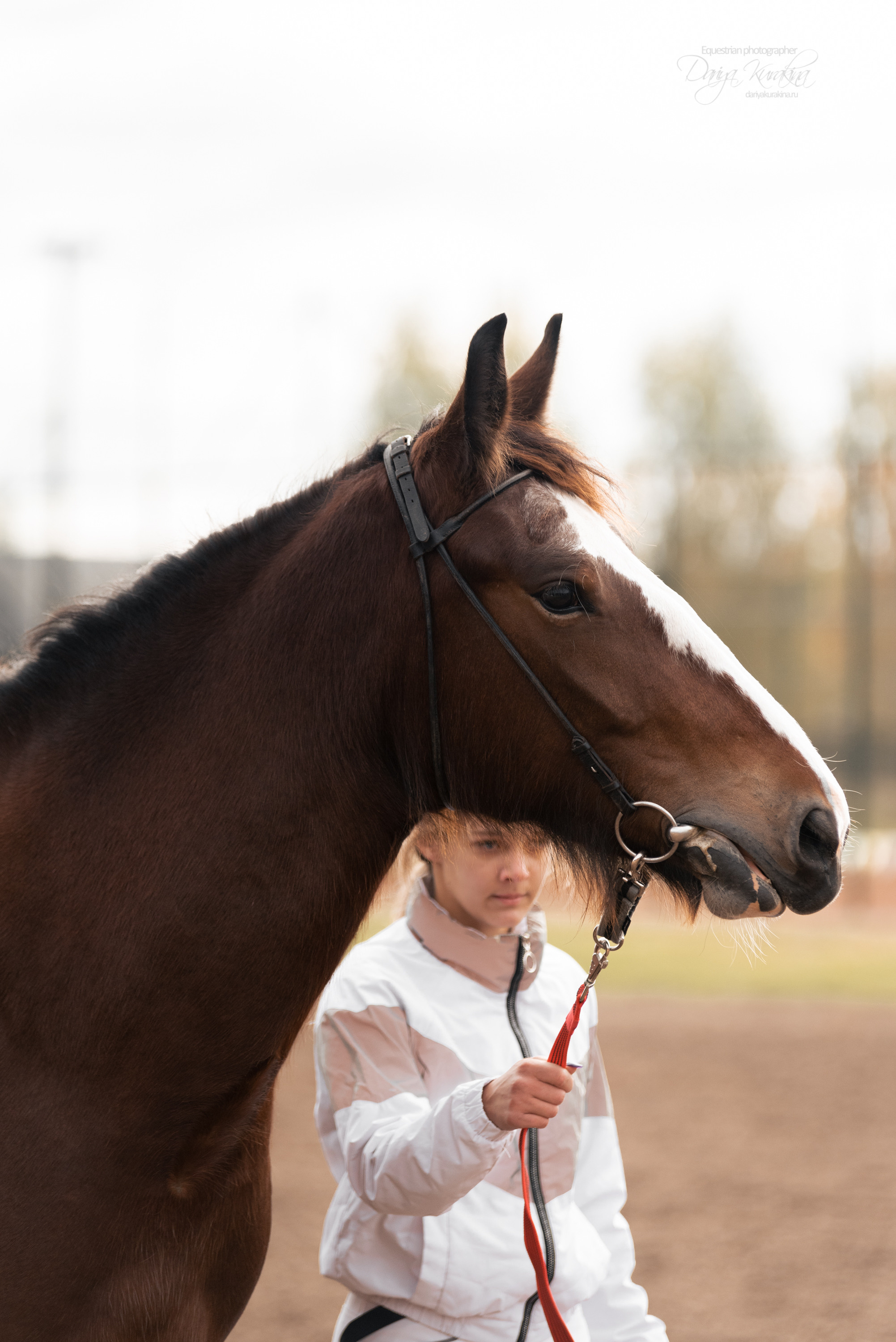 Богдарня. Конный фотограф Куракина Дарья • Фотосессии с лошадьми