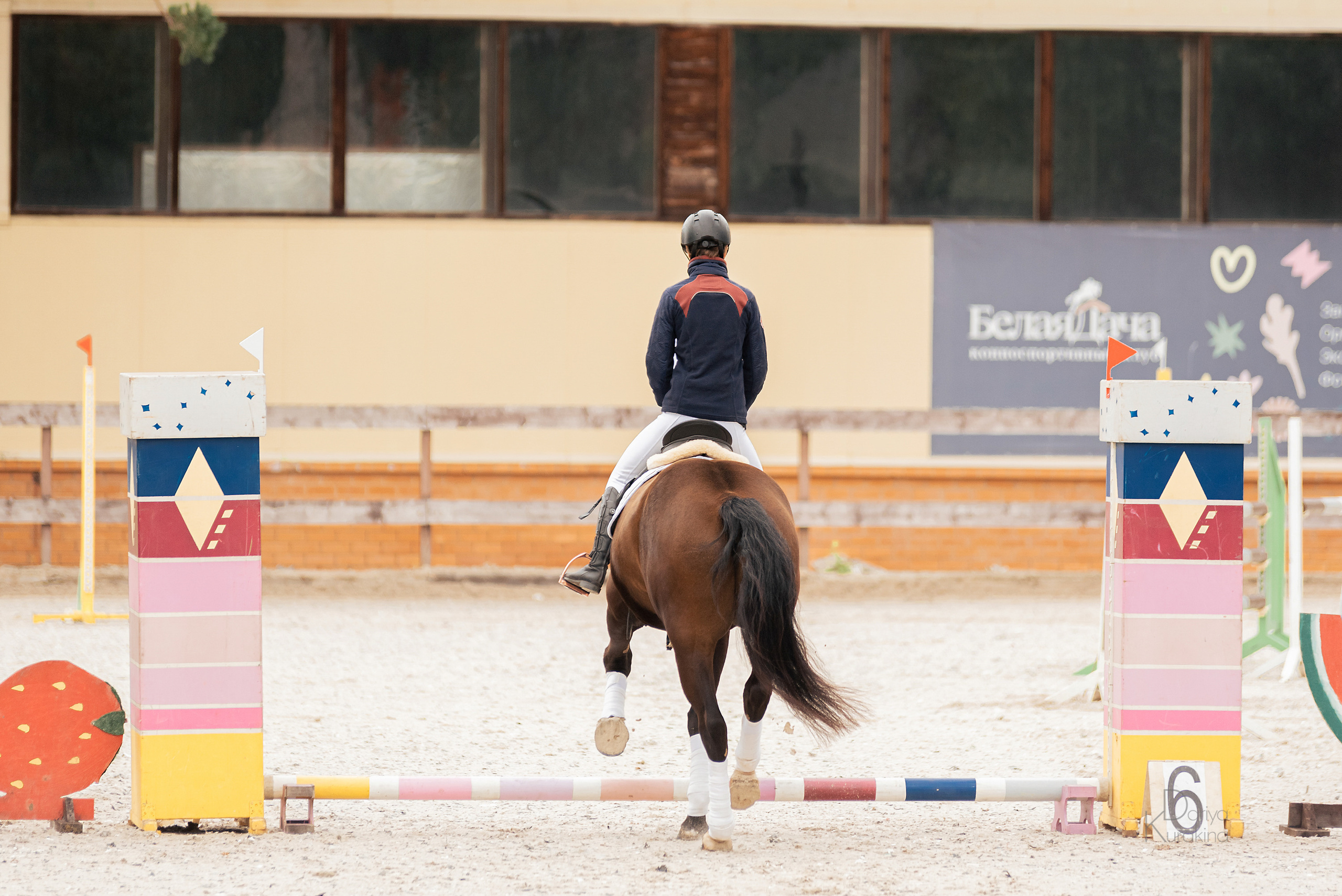 КСК Белая Дача, конкур. Конный фотограф Куракина Дарья • Фотосессии с лошадьми