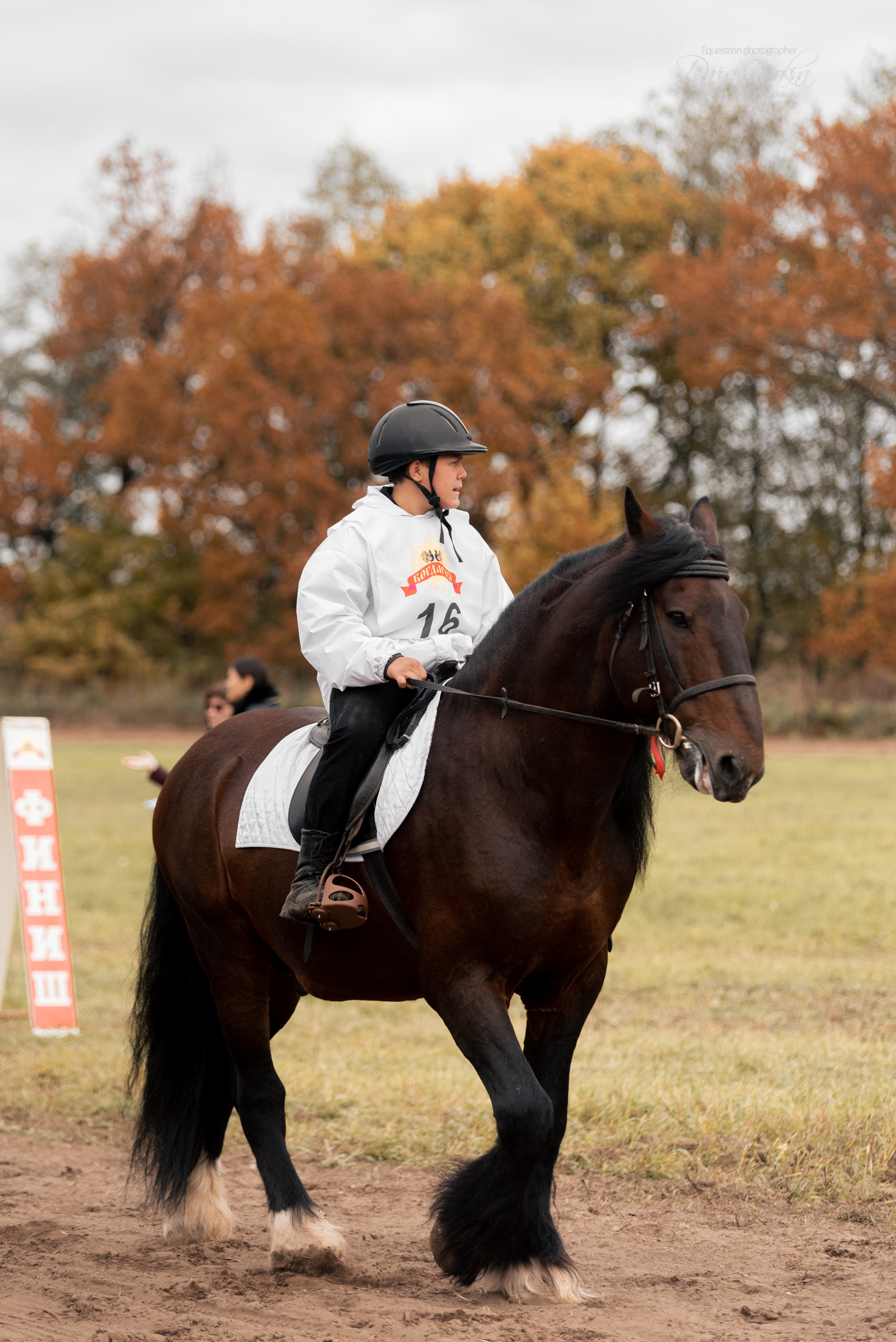 Богдарня. Конный фотограф Куракина Дарья • Фотосессии с лошадьми