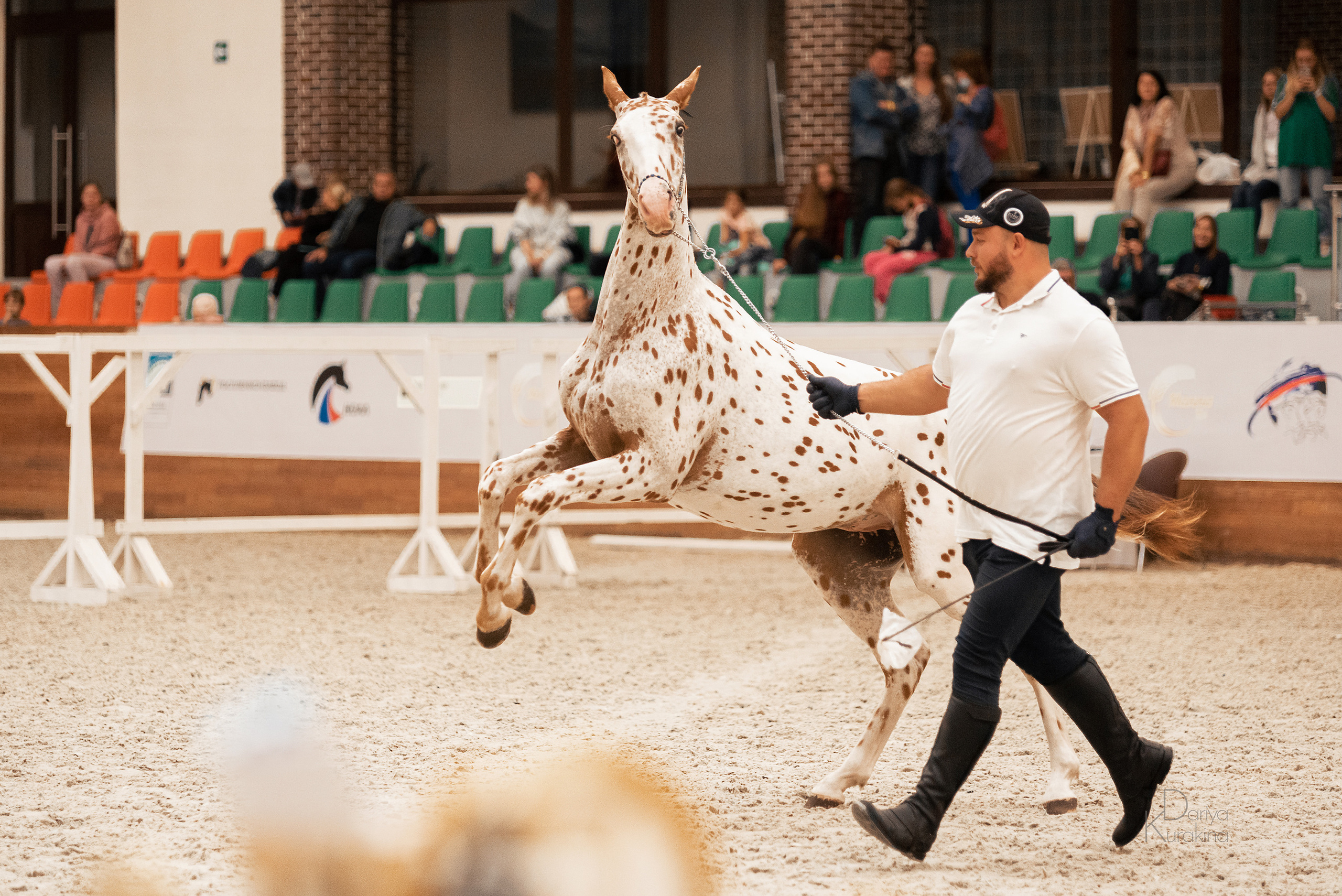 Конная Россия 2021. Конный фотограф Куракина Дарья • Фотосессии с лошадьми