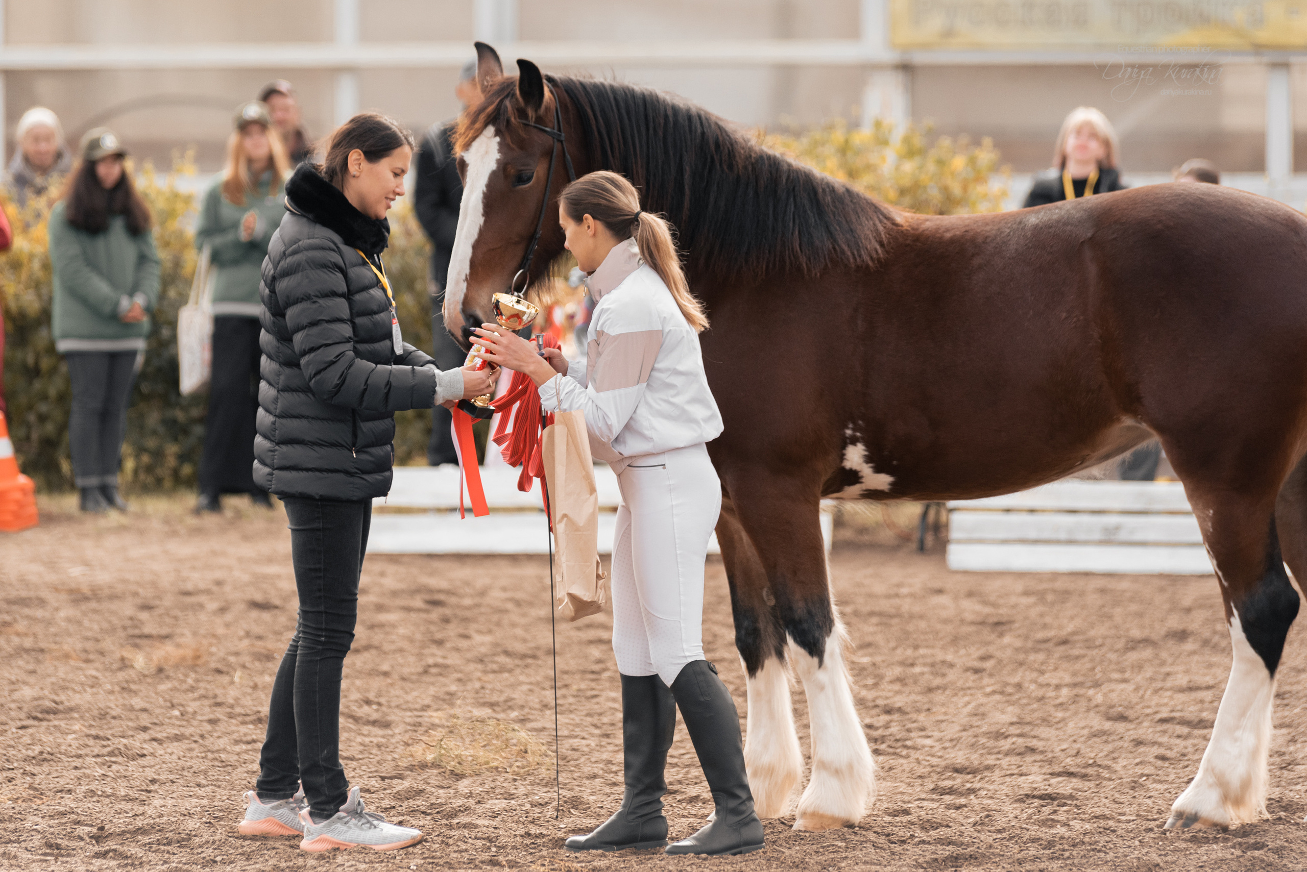 Богдарня. Конный фотограф Куракина Дарья • Фотосессии с лошадьми