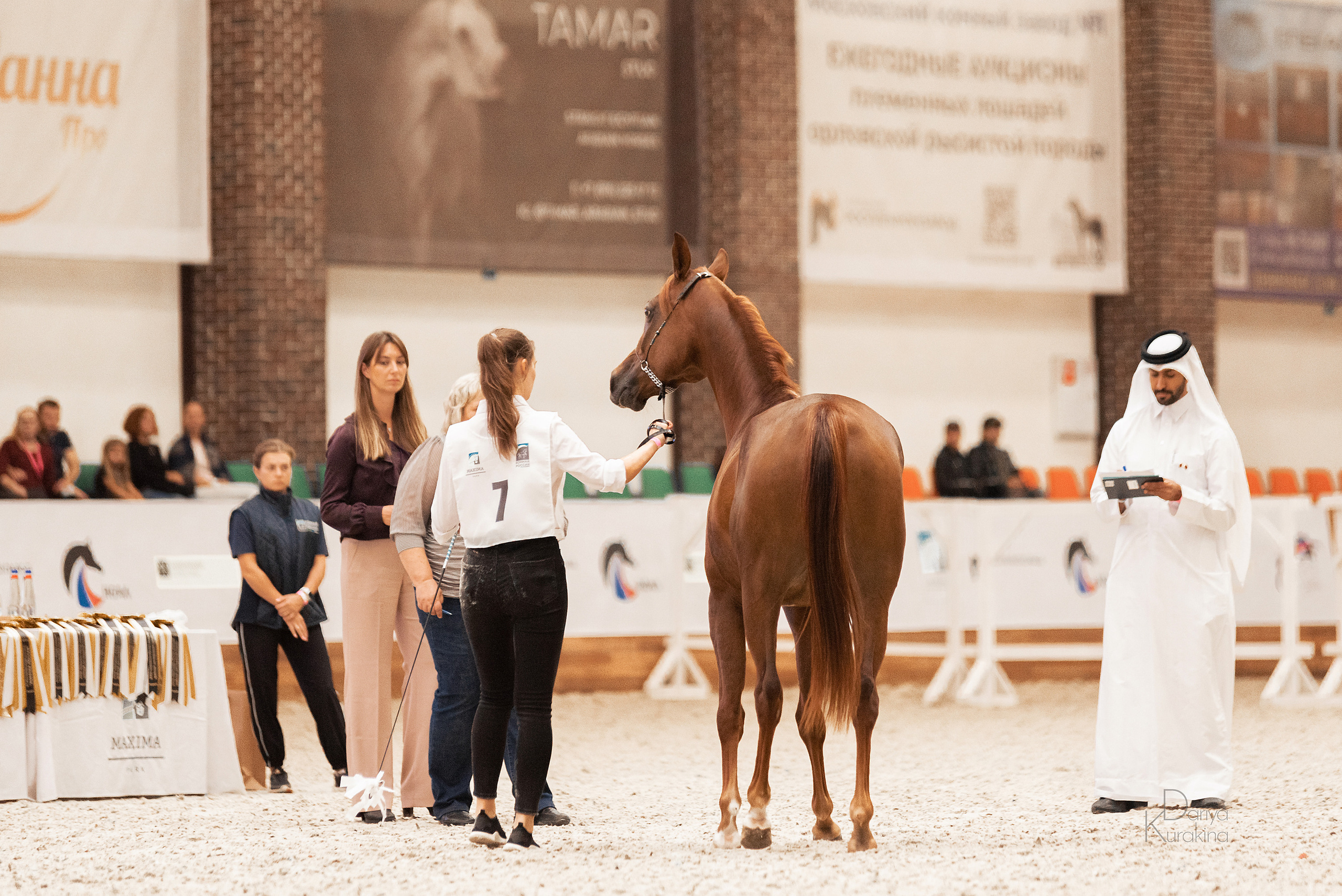Конная Россия 2021. Конный фотограф Куракина Дарья • Фотосессии с лошадьми