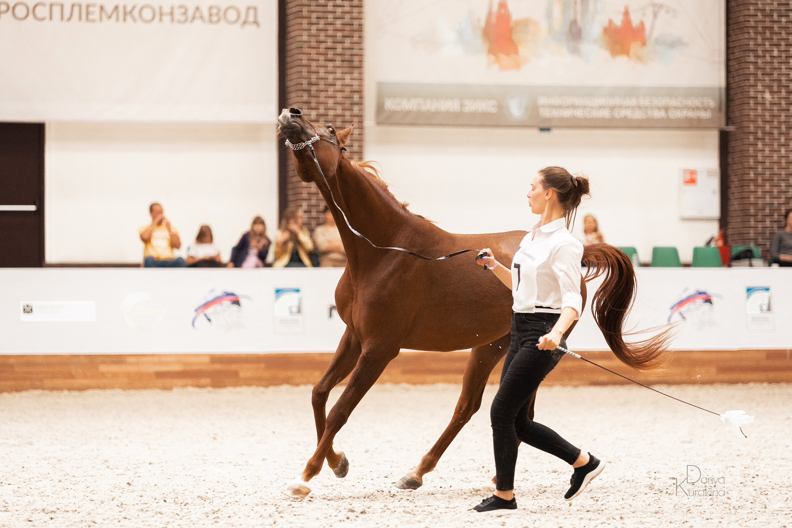 Конная Россия 2021. Конный фотограф Куракина Дарья • Фотосессии с лошадьми