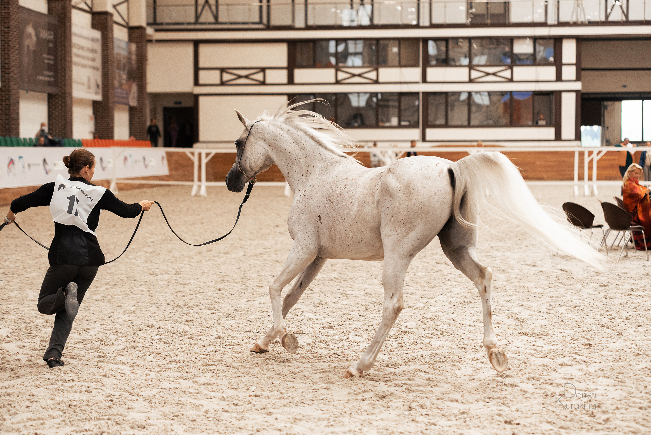 Конная Россия 2021. Конный фотограф Куракина Дарья • Фотосессии с лошадьми