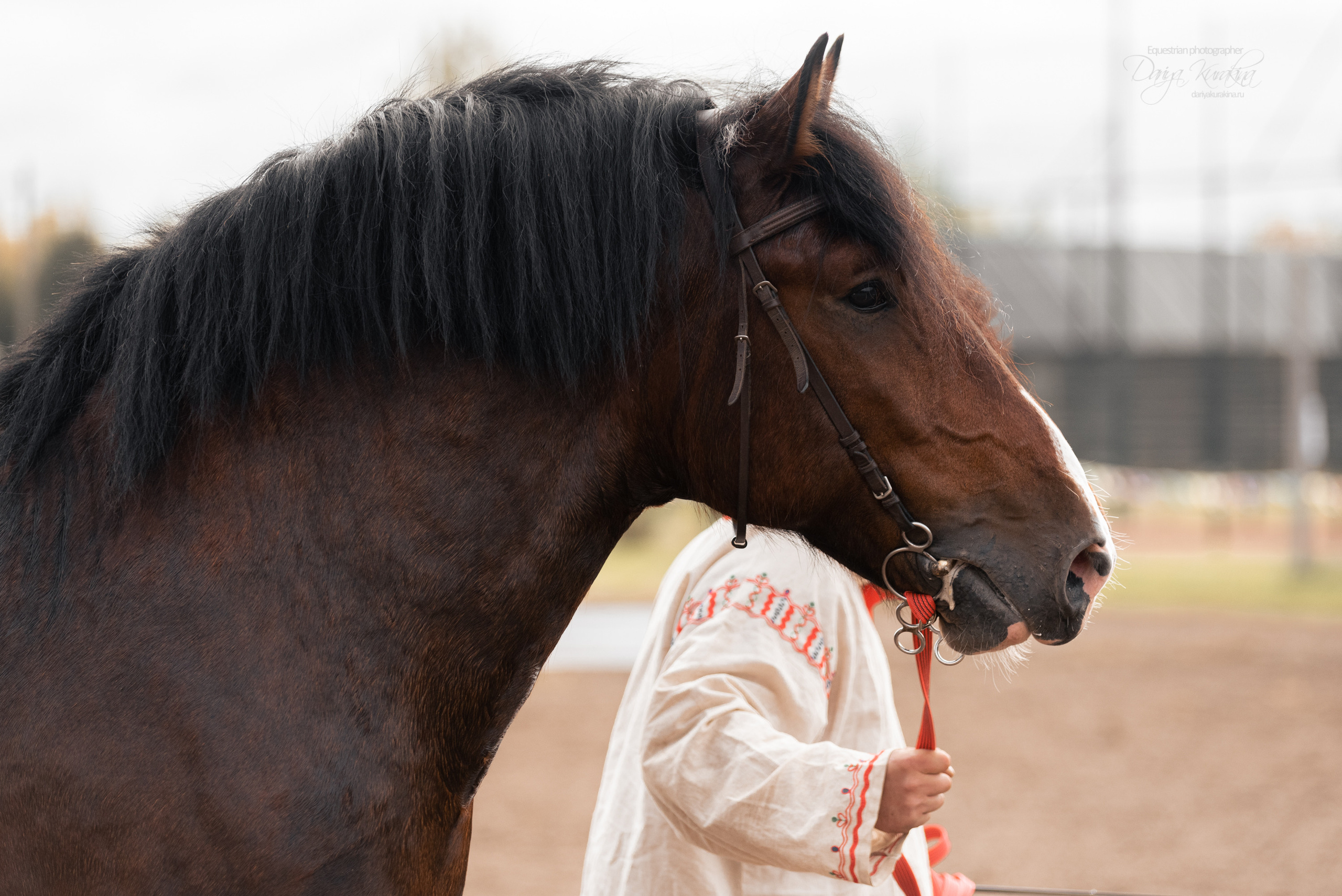 Богдарня. Конный фотограф Куракина Дарья • Фотосессии с лошадьми