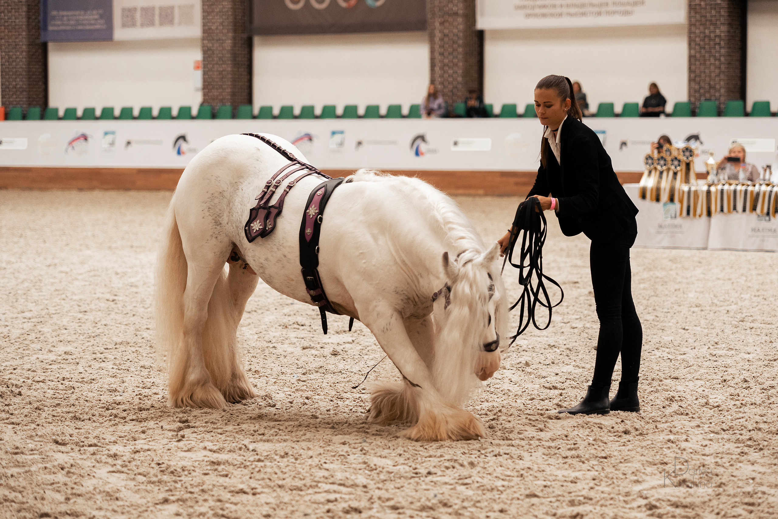 Конная Россия 2021. Конный фотограф Куракина Дарья • Фотосессии с лошадьми