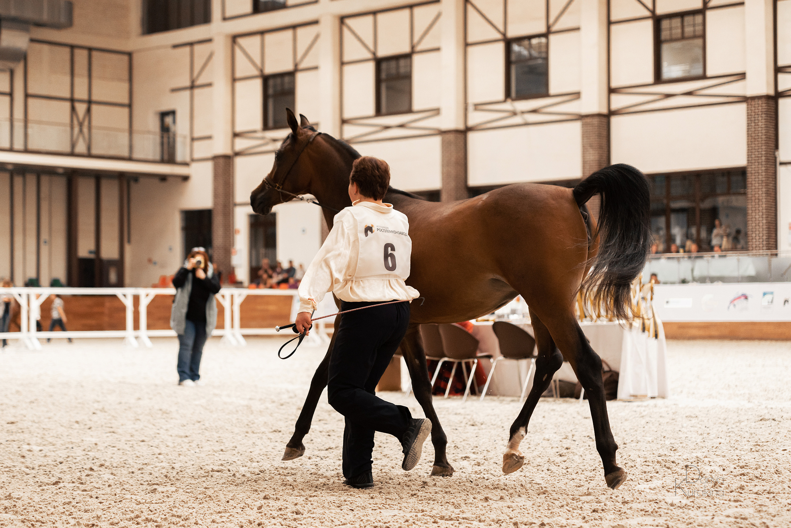 Конная Россия 2021. Конный фотограф Куракина Дарья • Фотосессии с лошадьми