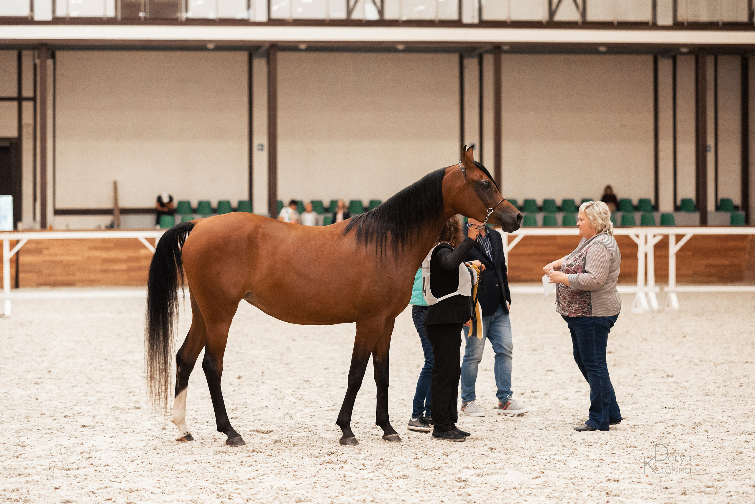 Конная Россия 2021. Конный фотограф Куракина Дарья • Фотосессии с лошадьми