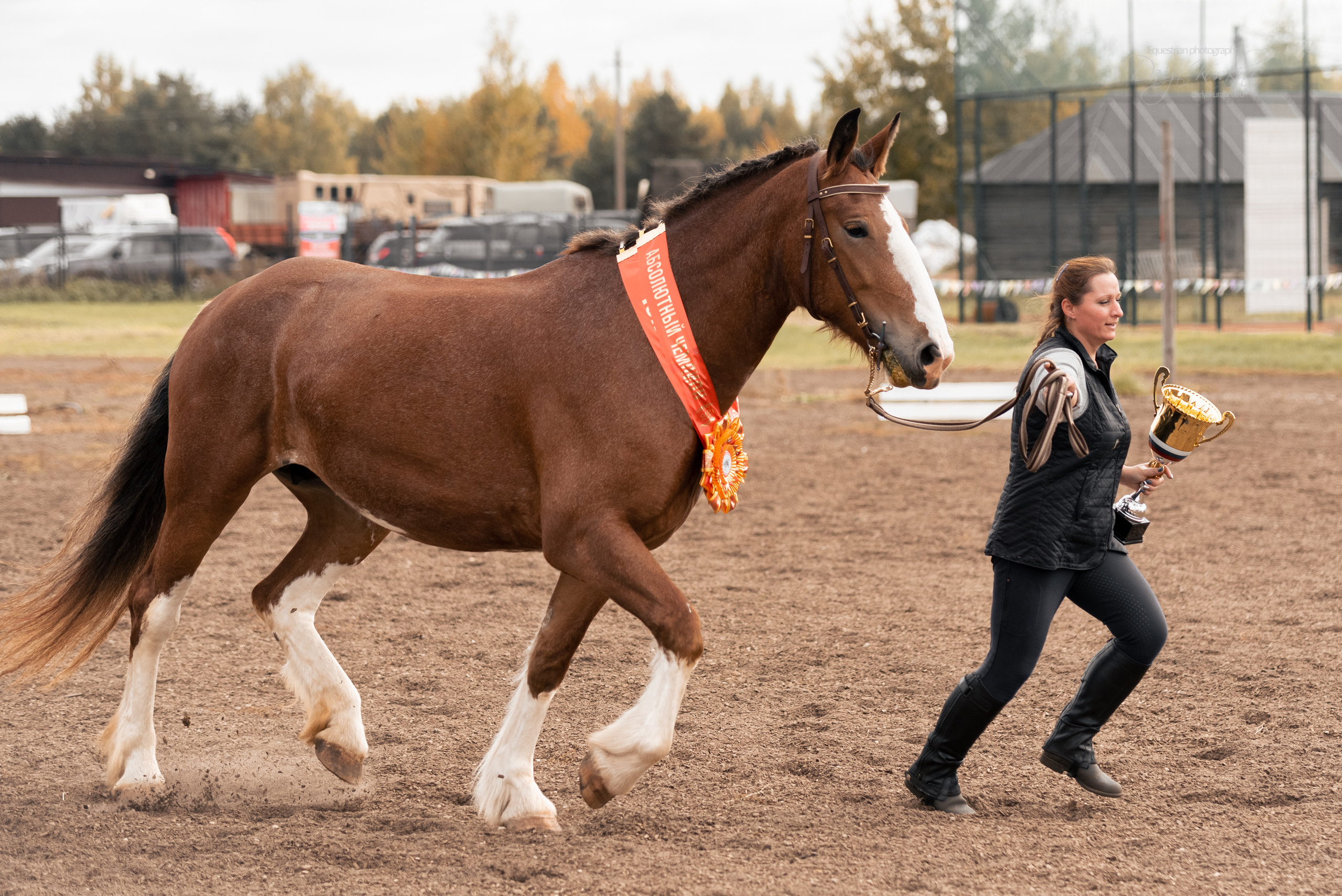 Богдарня. Конный фотограф Куракина Дарья • Фотосессии с лошадьми