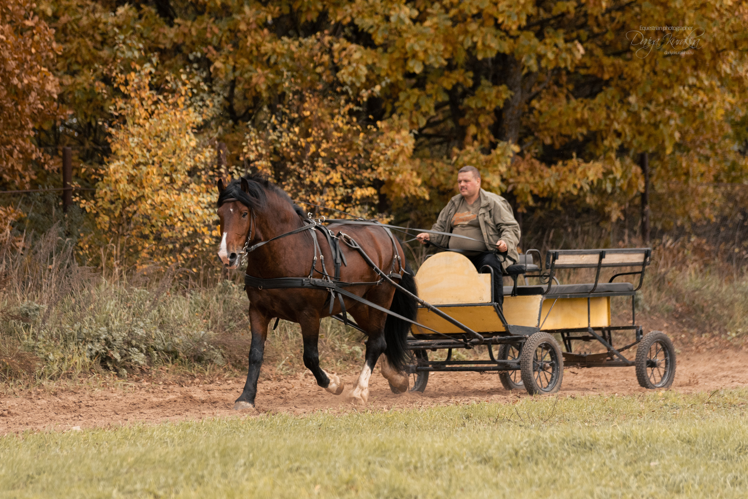 Богдарня. Конный фотограф Куракина Дарья • Фотосессии с лошадьми