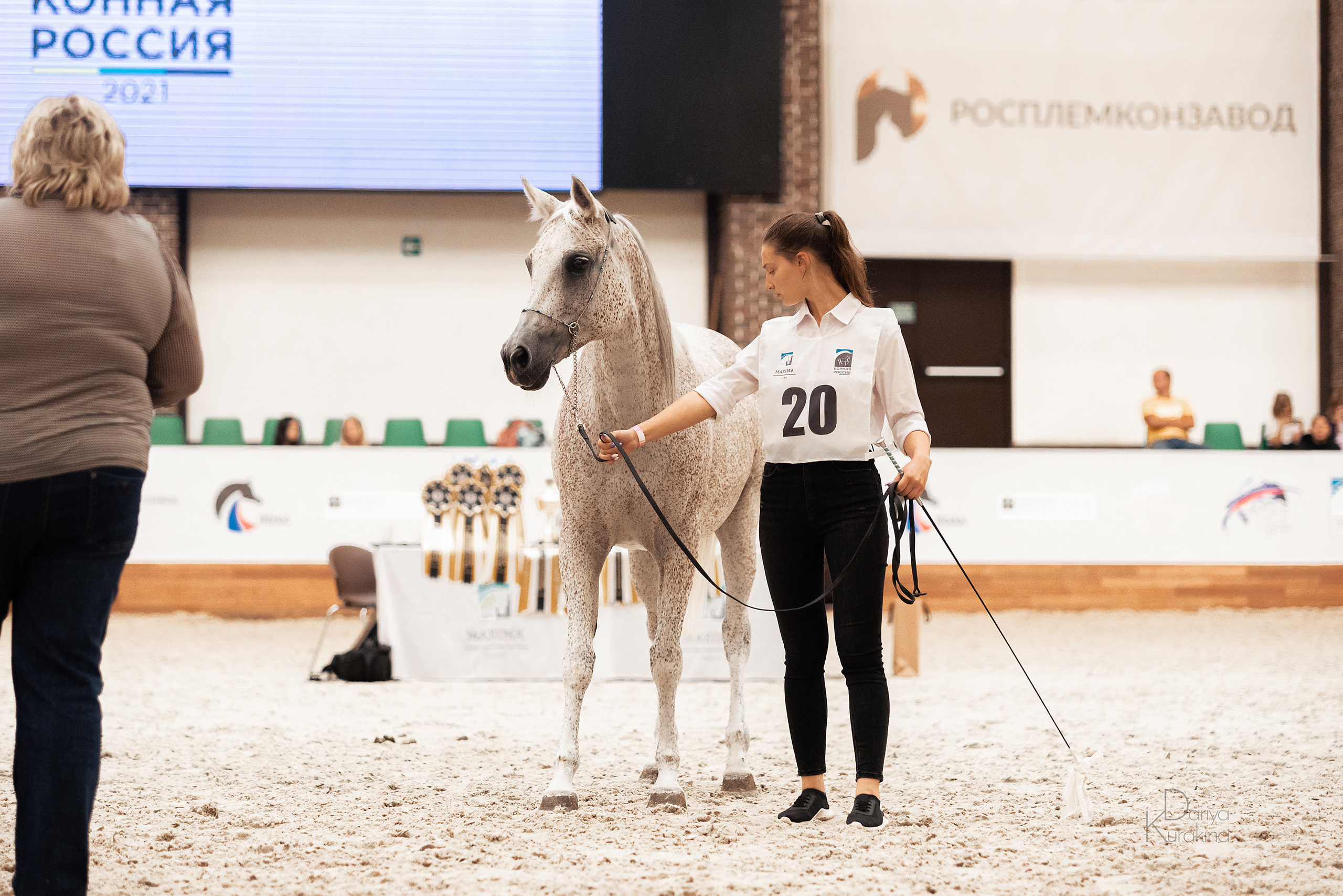 Конная Россия 2021. Конный фотограф Куракина Дарья • Фотосессии с лошадьми