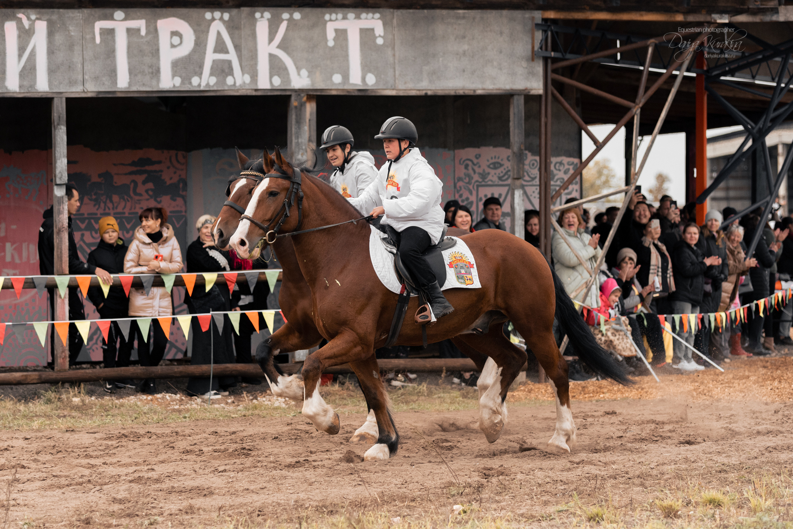 Богдарня. Конный фотограф Куракина Дарья • Фотосессии с лошадьми