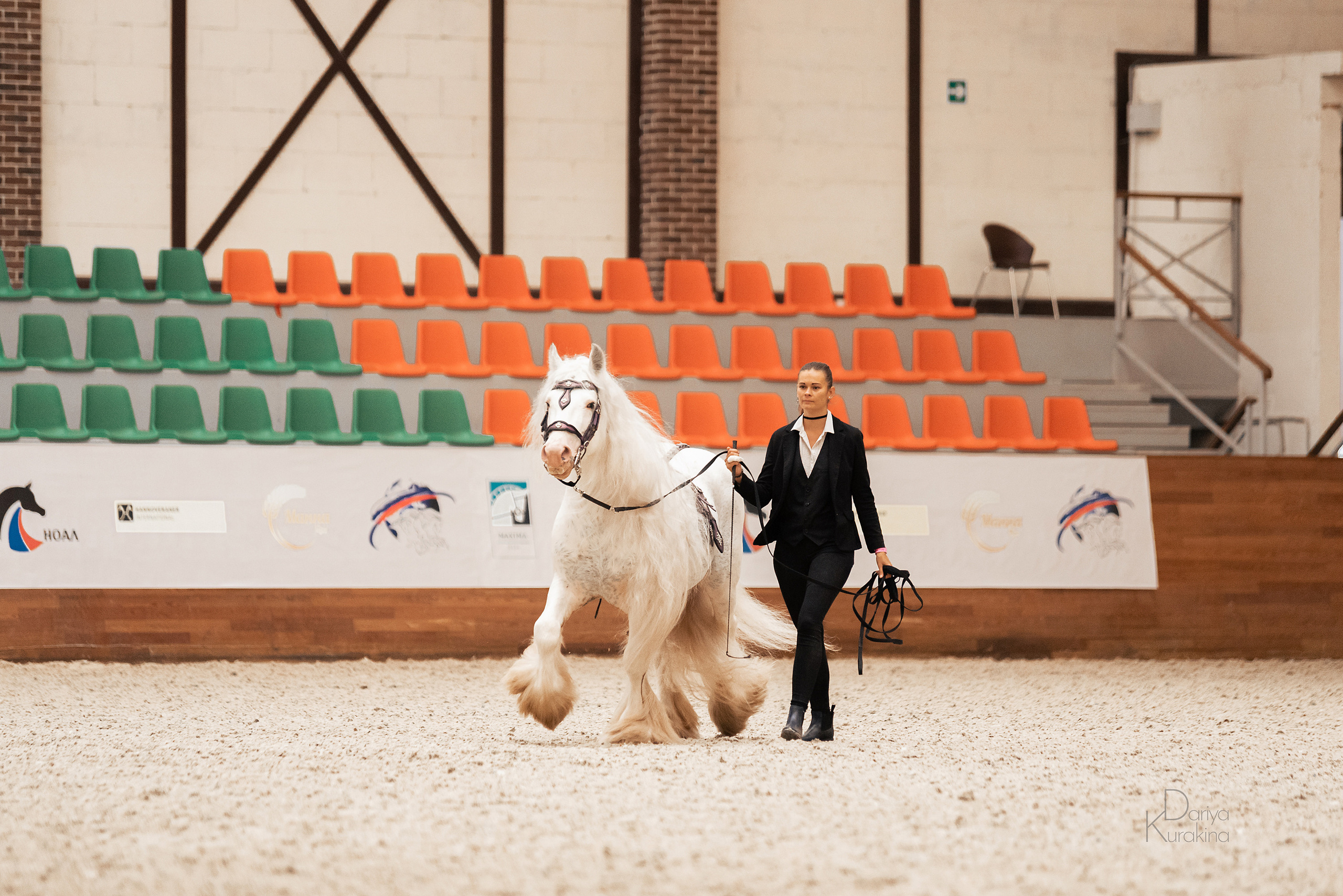 Конная Россия 2021. Конный фотограф Куракина Дарья • Фотосессии с лошадьми
