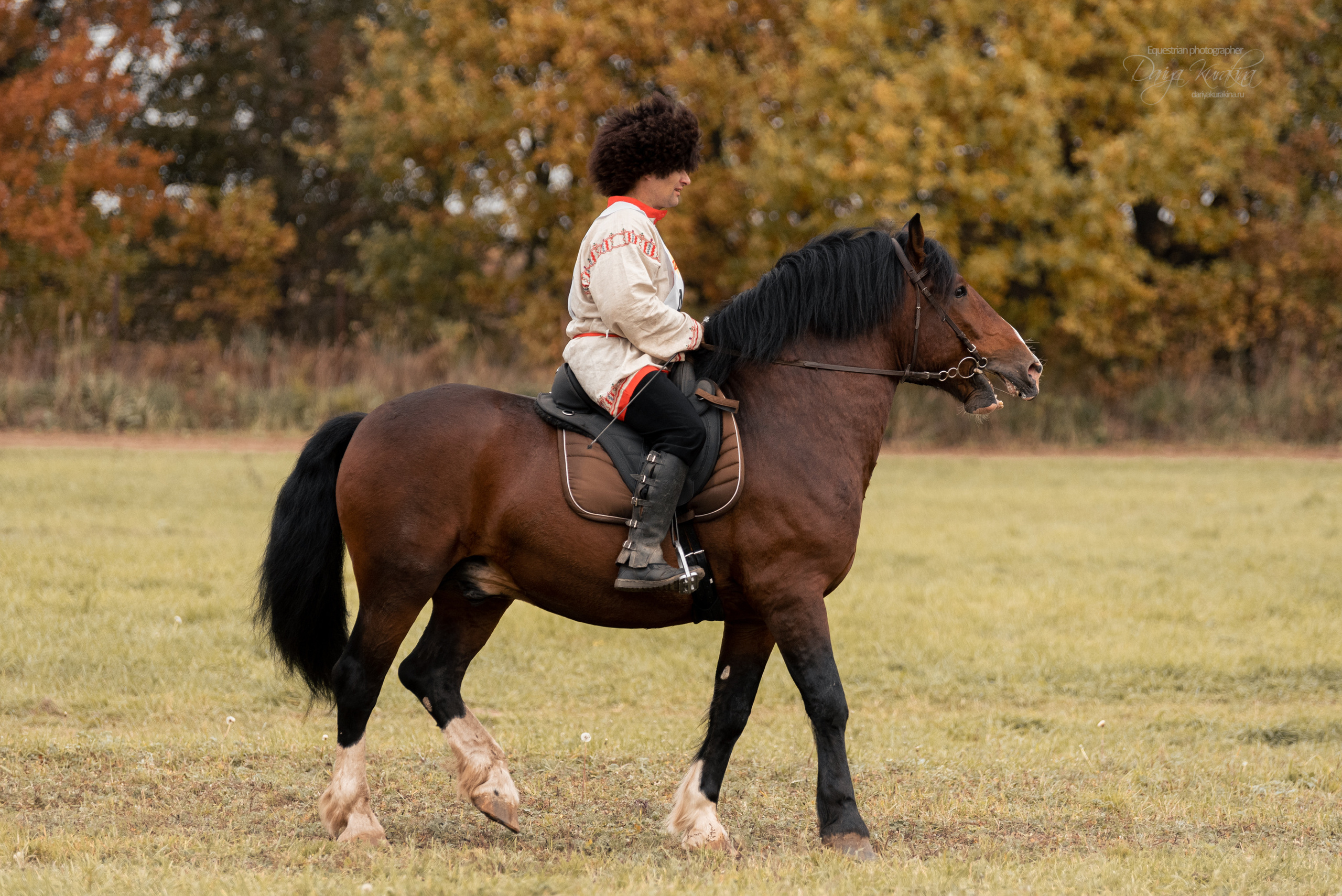 Богдарня. Конный фотограф Куракина Дарья • Фотосессии с лошадьми