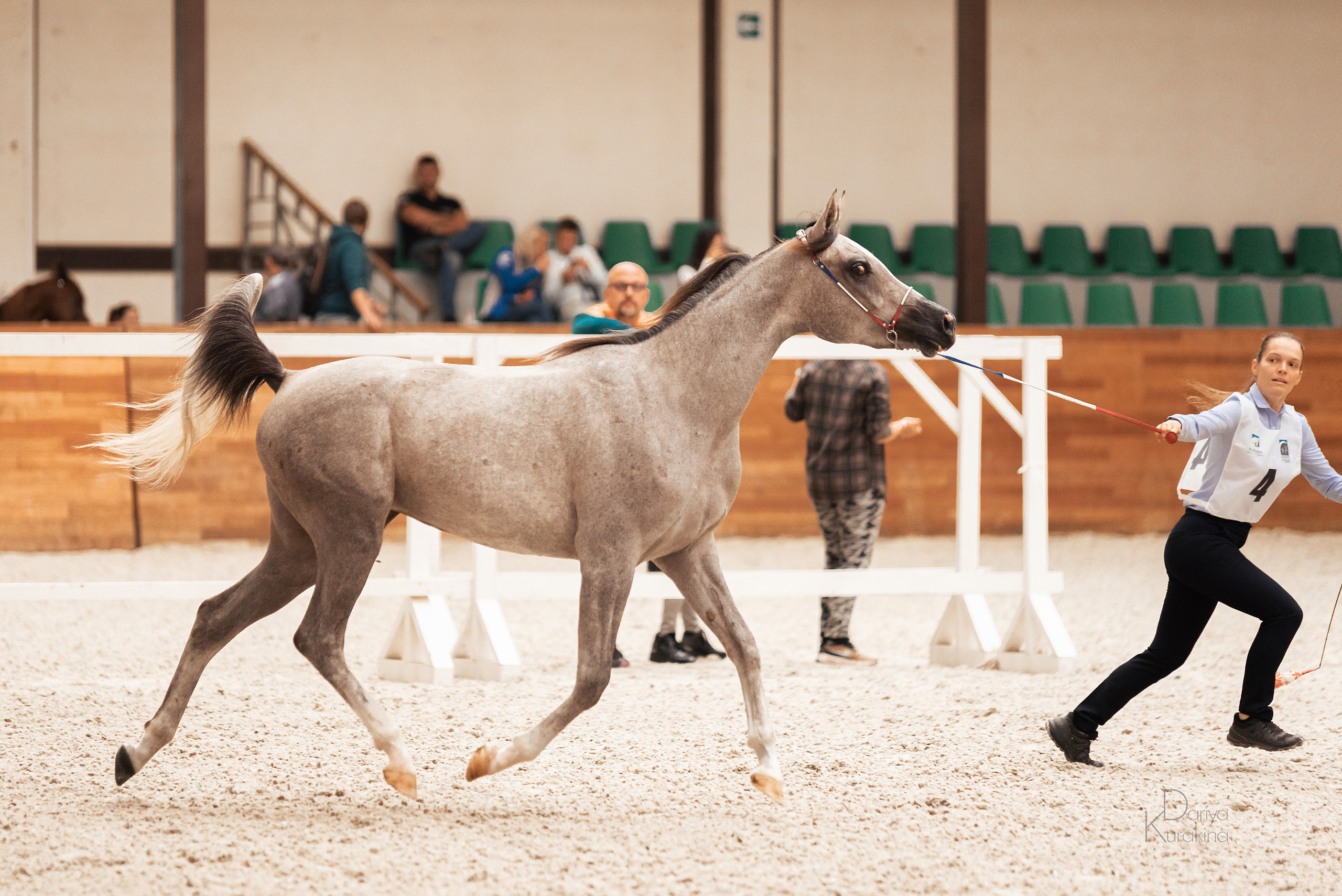 Конная Россия 2021. Конный фотограф Куракина Дарья • Фотосессии с лошадьми