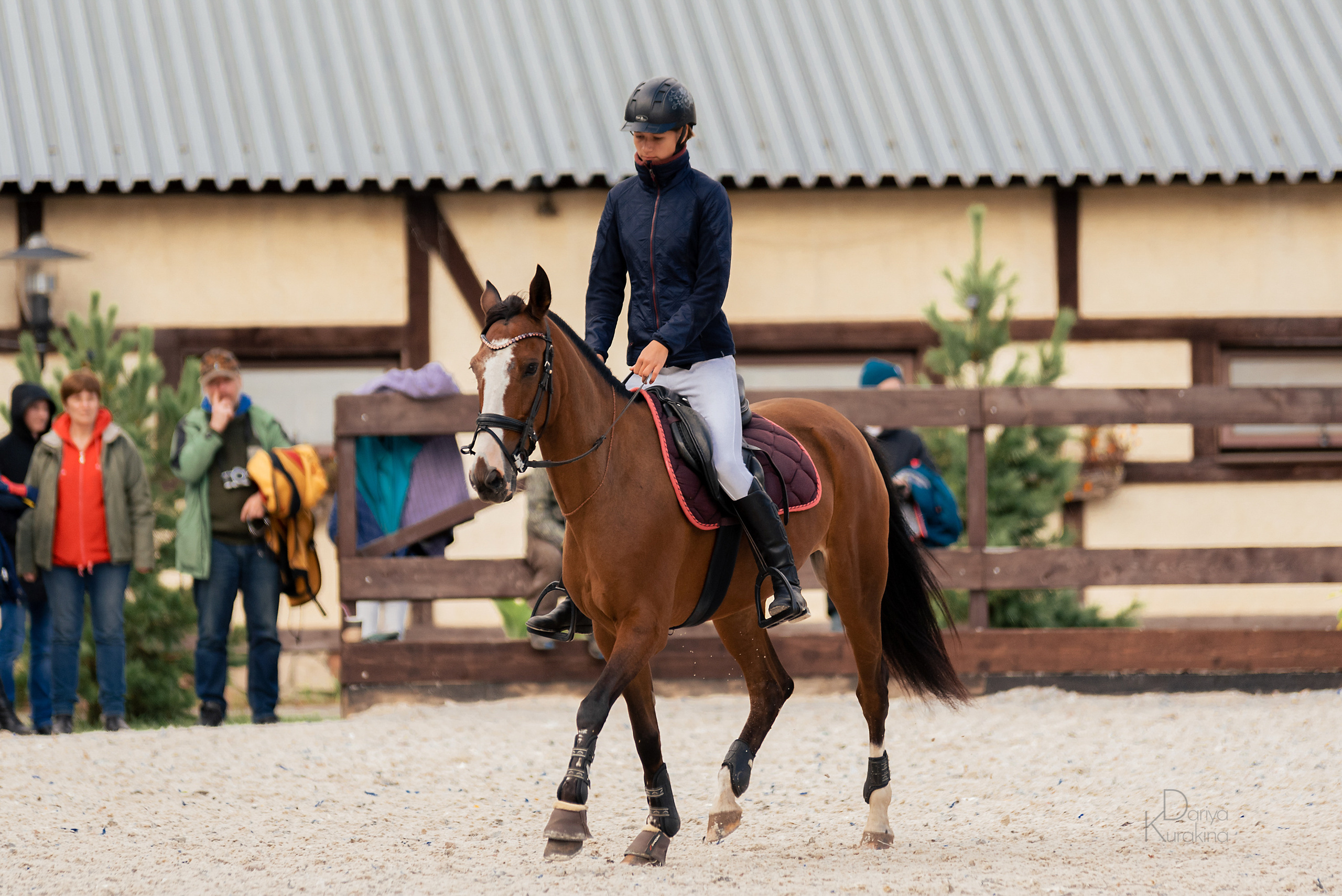 КСК Белая Дача, конкур. Конный фотограф Куракина Дарья • Фотосессии с лошадьми