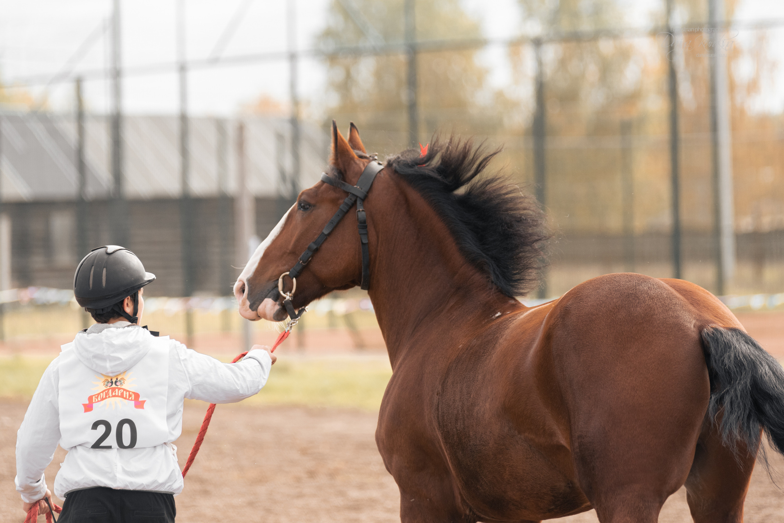 Богдарня. Конный фотограф Куракина Дарья • Фотосессии с лошадьми
