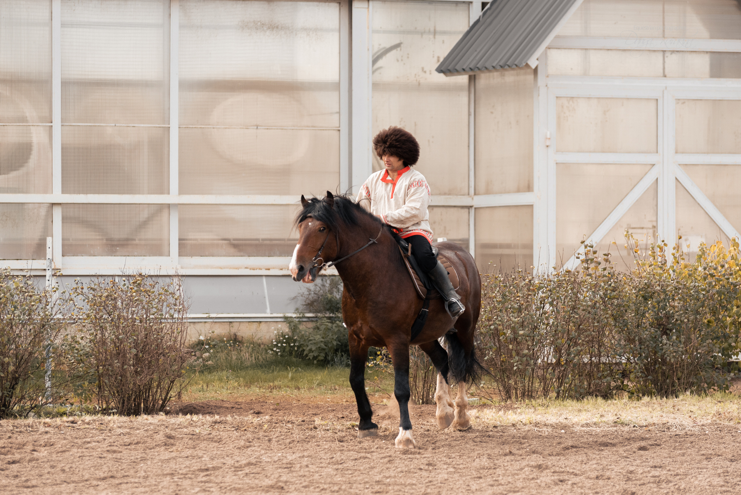 Богдарня. Конный фотограф Куракина Дарья • Фотосессии с лошадьми