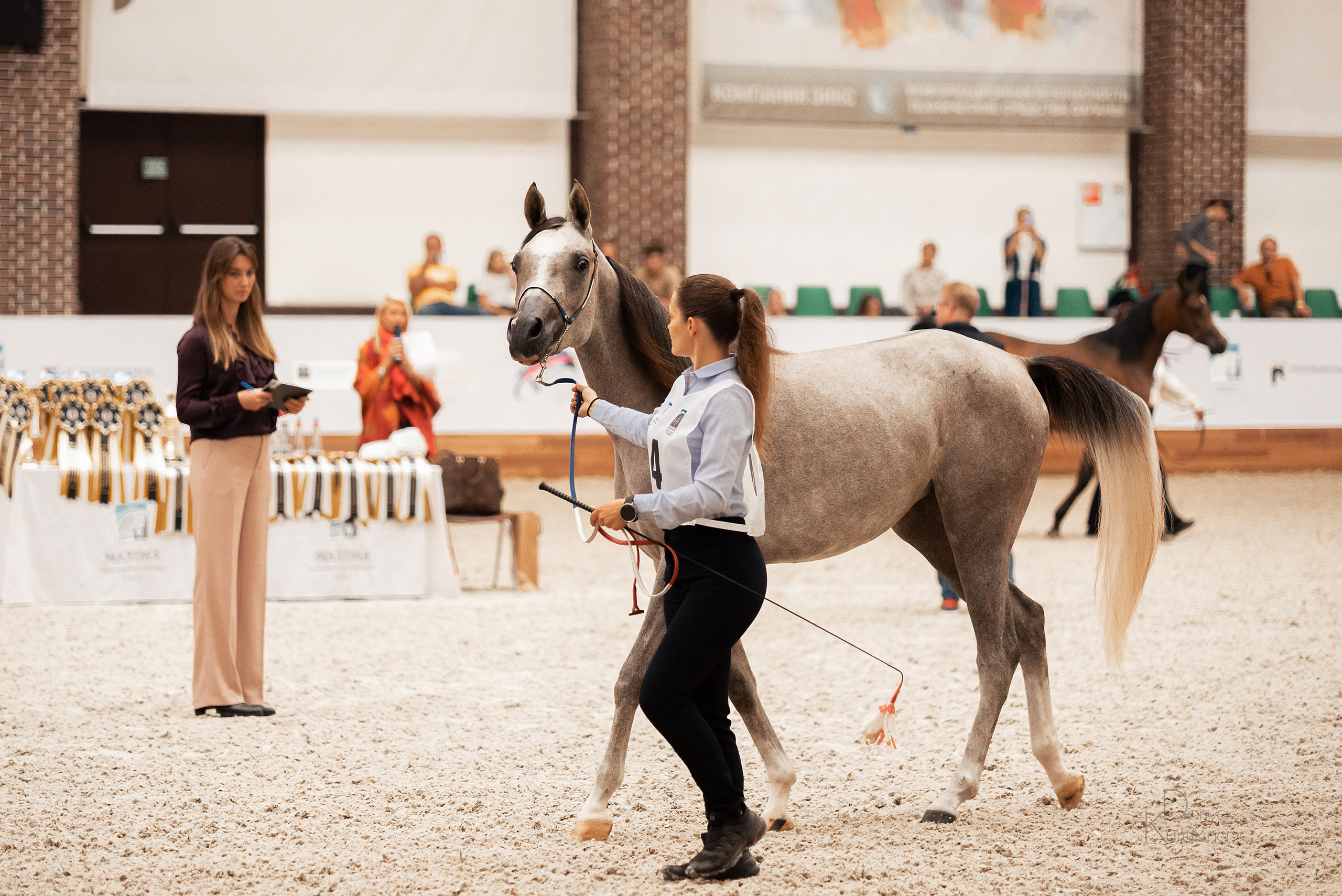 Конная Россия 2021. Конный фотограф Куракина Дарья • Фотосессии с лошадьми