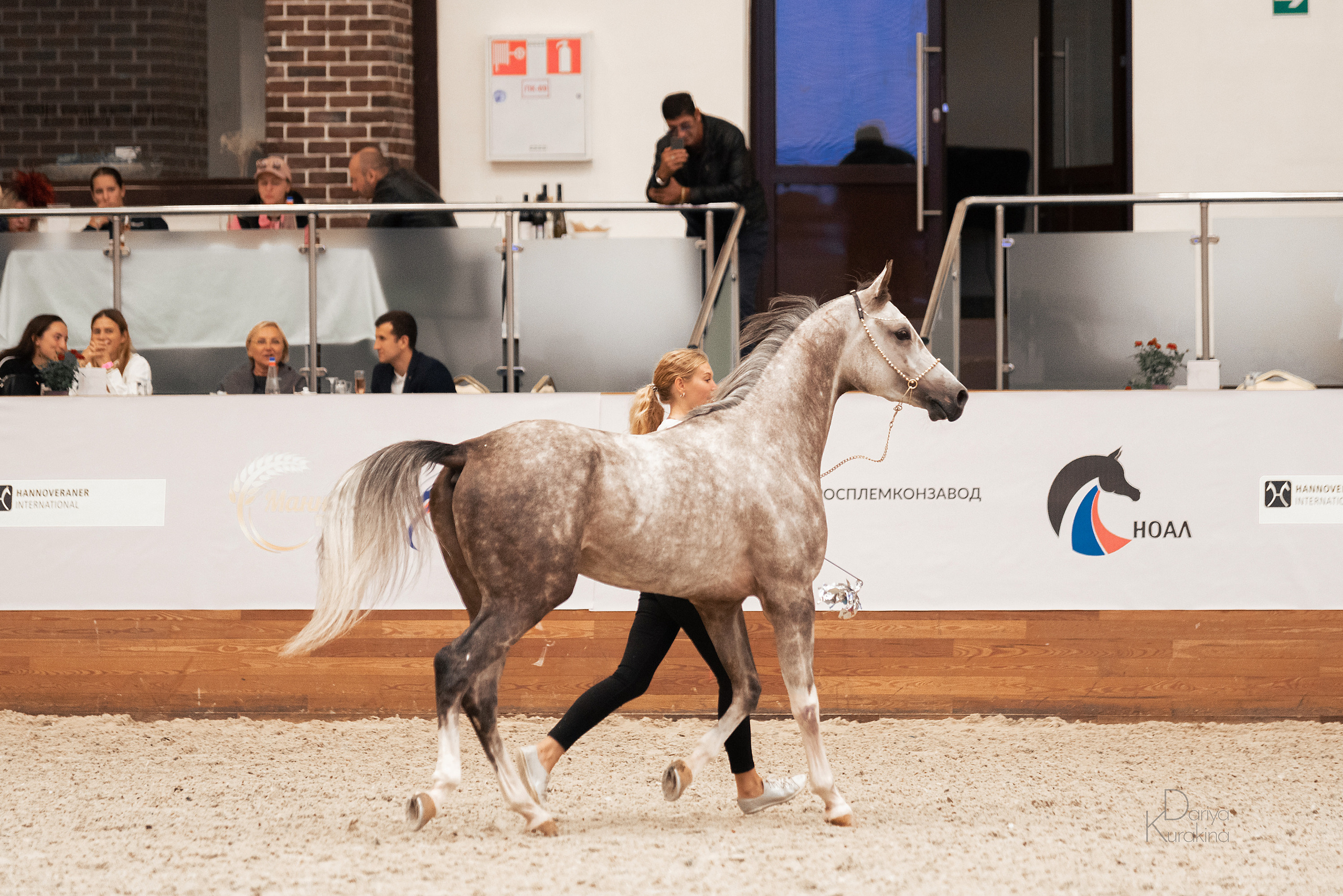 Конная Россия 2021. Конный фотограф Куракина Дарья • Фотосессии с лошадьми