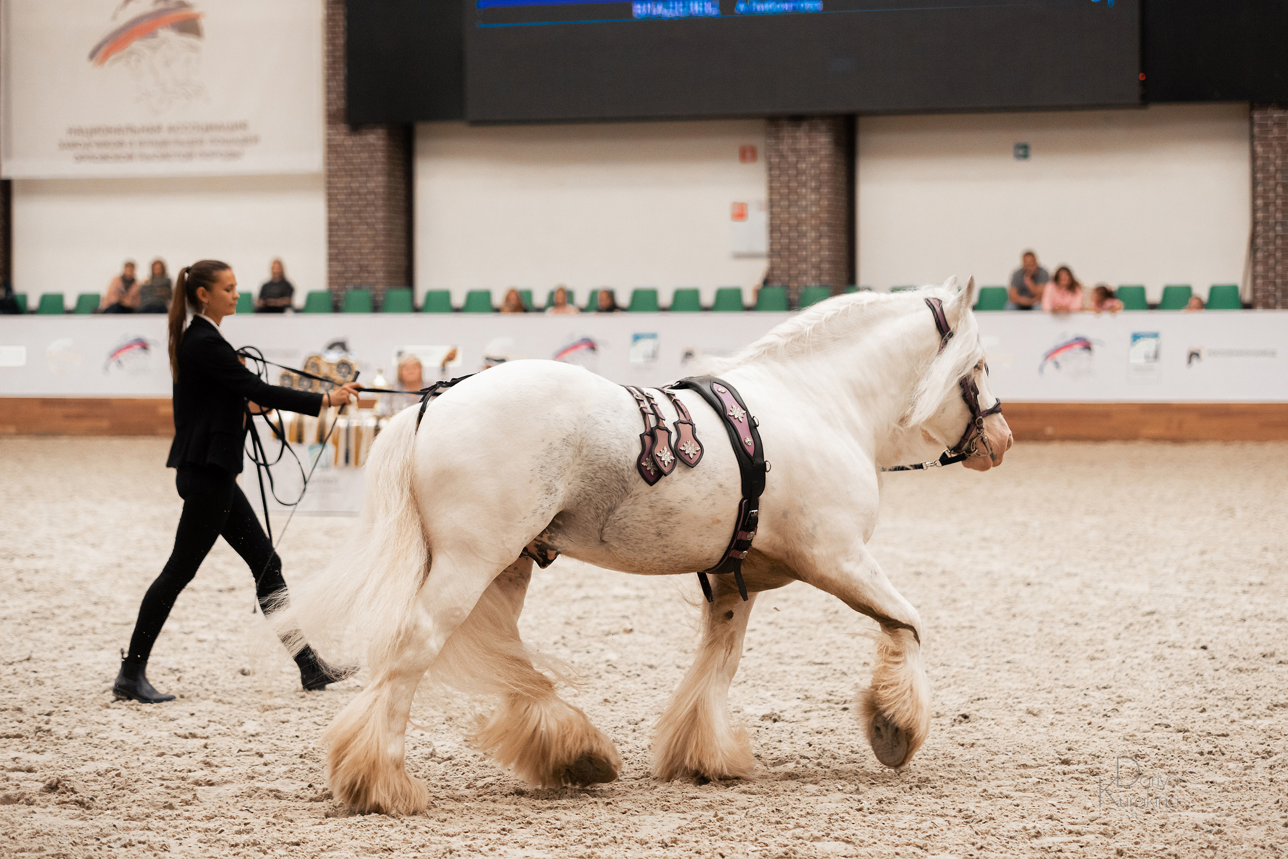 Конная Россия 2021. Конный фотограф Куракина Дарья • Фотосессии с лошадьми