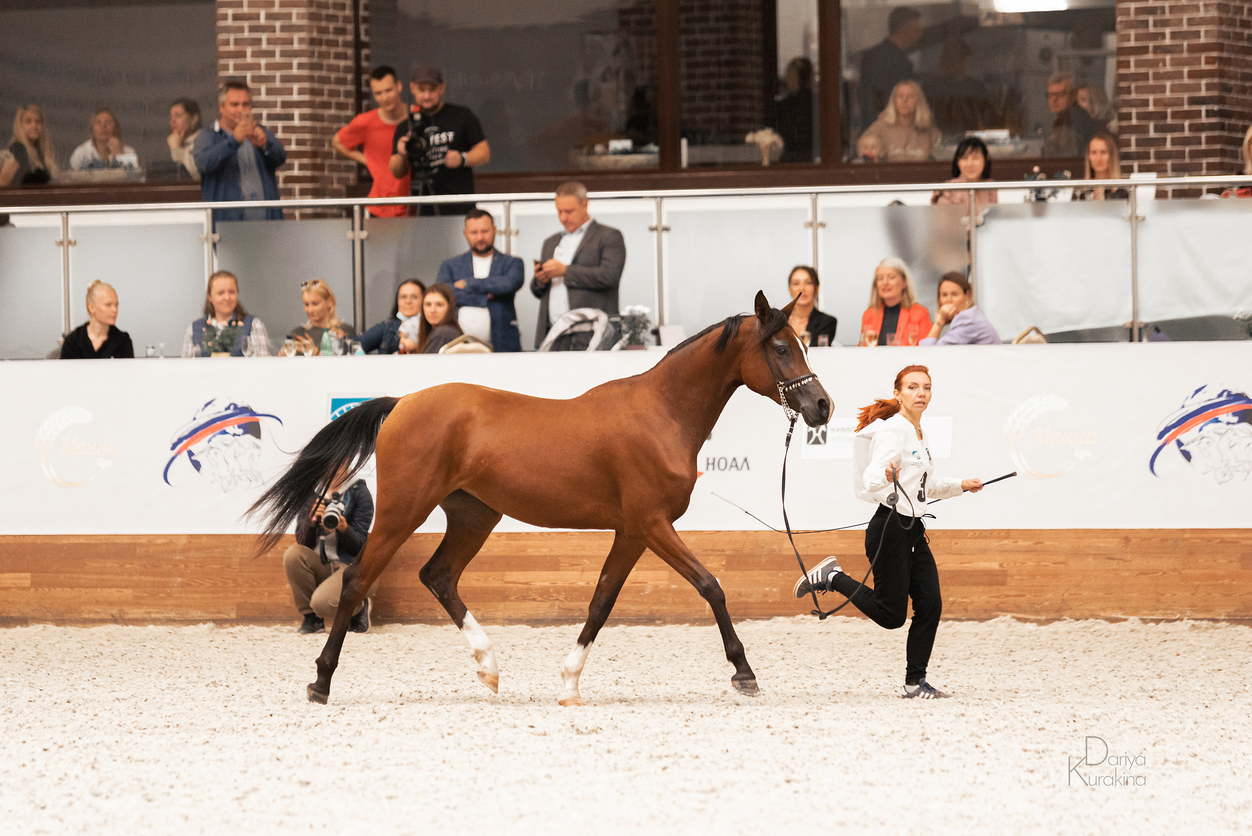 Конная Россия 2021. Конный фотограф Куракина Дарья • Фотосессии с лошадьми