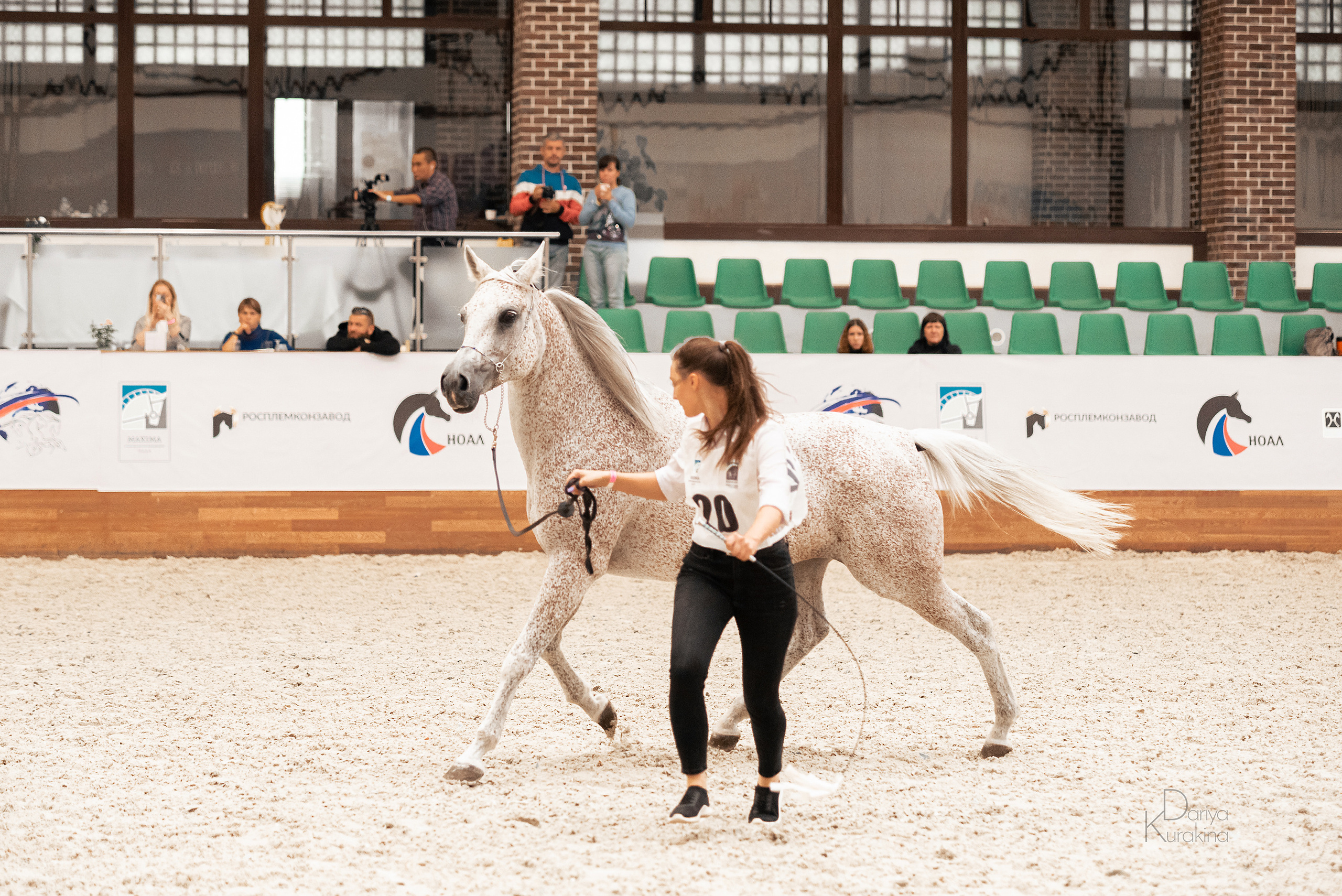 Конная Россия 2021. Конный фотограф Куракина Дарья • Фотосессии с лошадьми