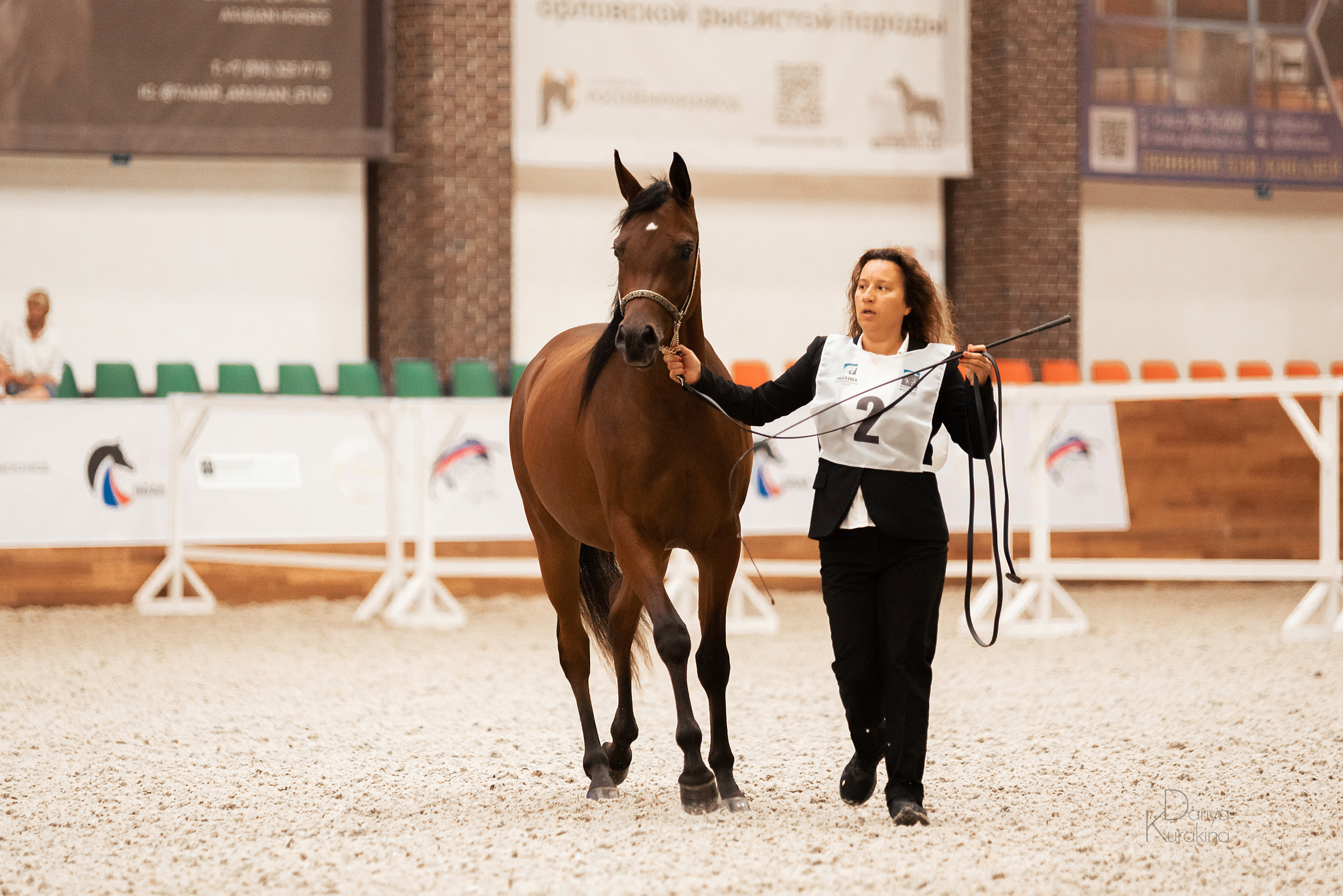 Конная Россия 2021. Конный фотограф Куракина Дарья • Фотосессии с лошадьми