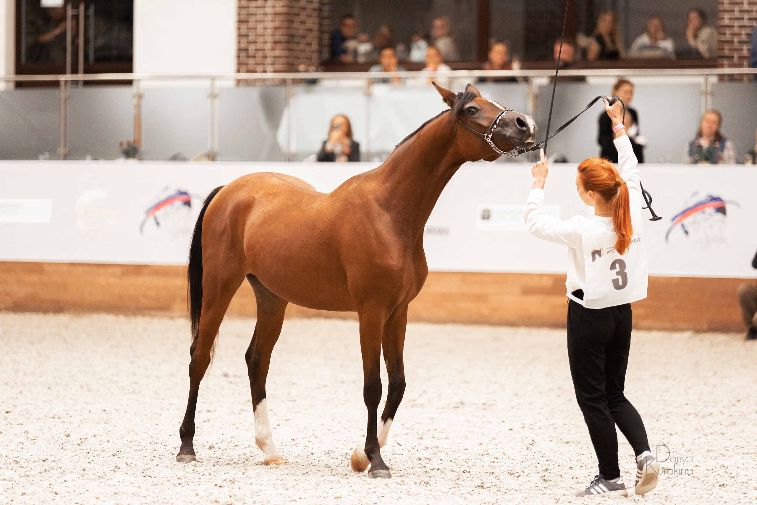 Конная Россия 2021. Конный фотограф Куракина Дарья • Фотосессии с лошадьми